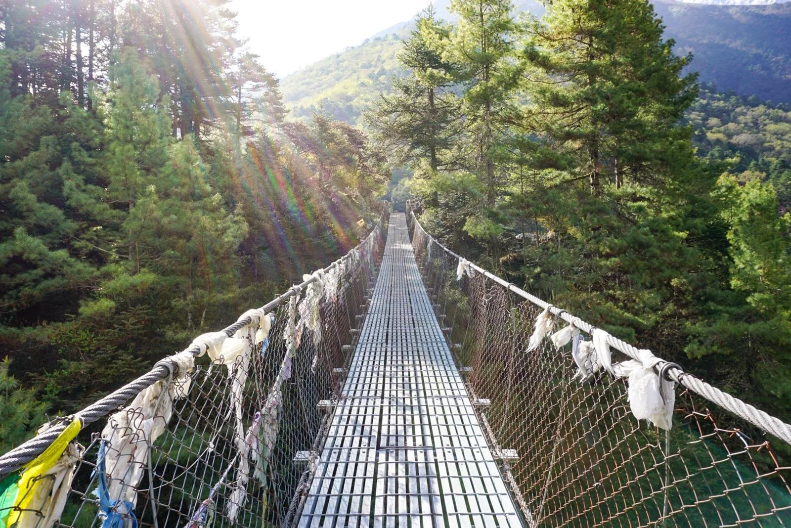 Long suspension bridge with a metal grid walkway and safety netting on each side, stretching over a forest of green trees with sunlight filtering through, and mountains in the background.