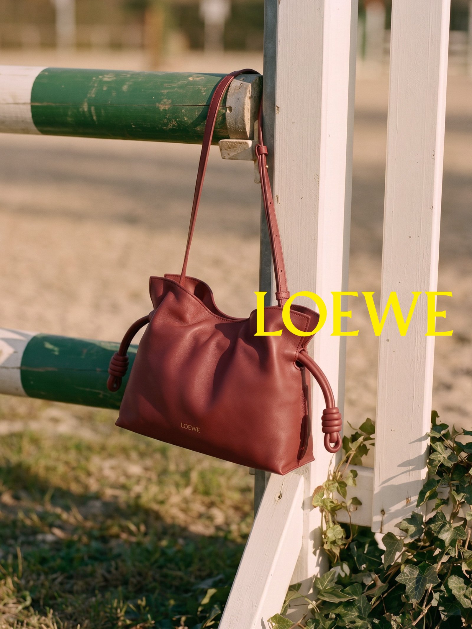 Loewe_Bag_2.jpg