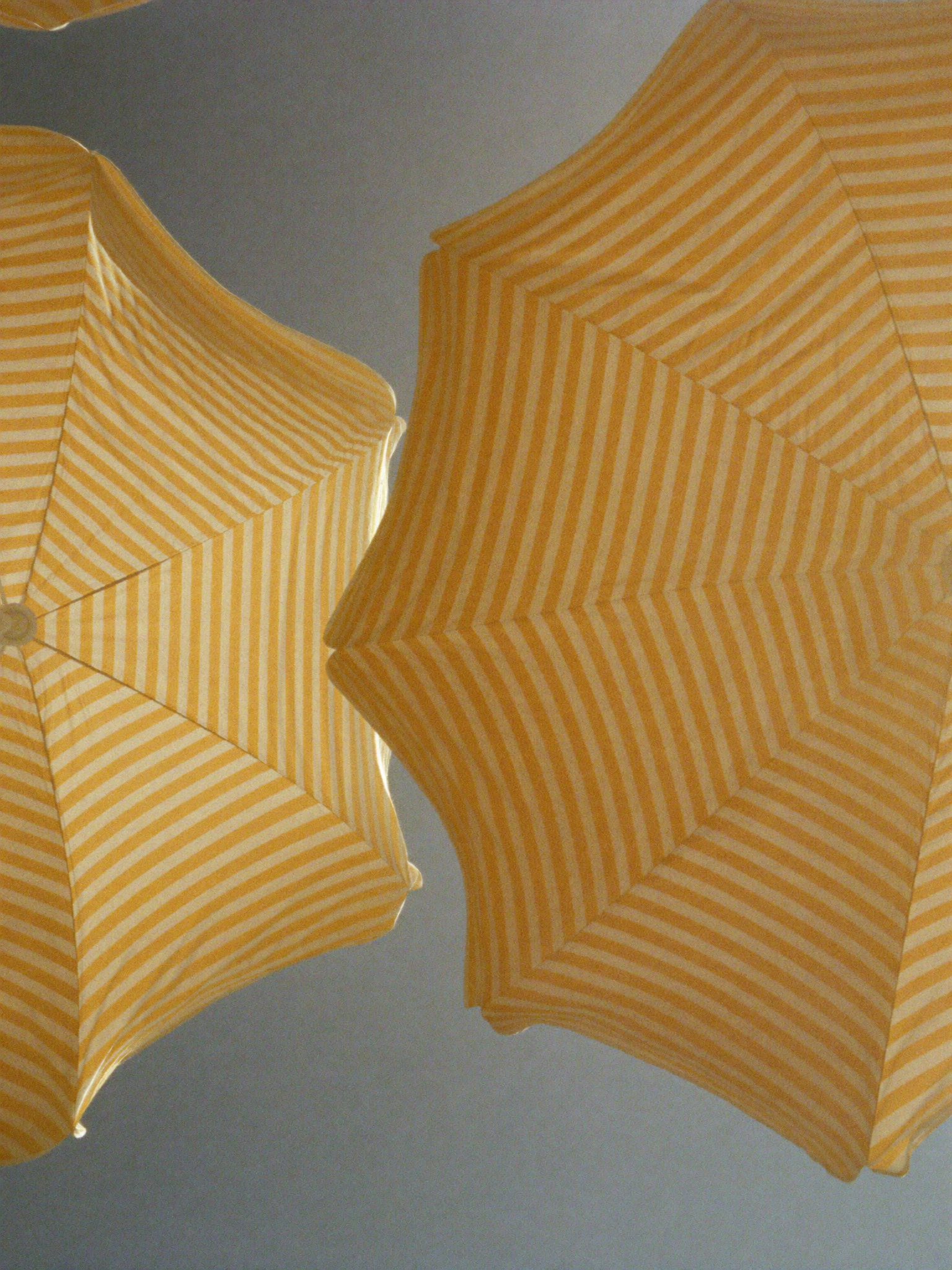 hf_20260528_144939_53150fde-862b-4fbd-a50b-4c7ba5bdcc4e.png