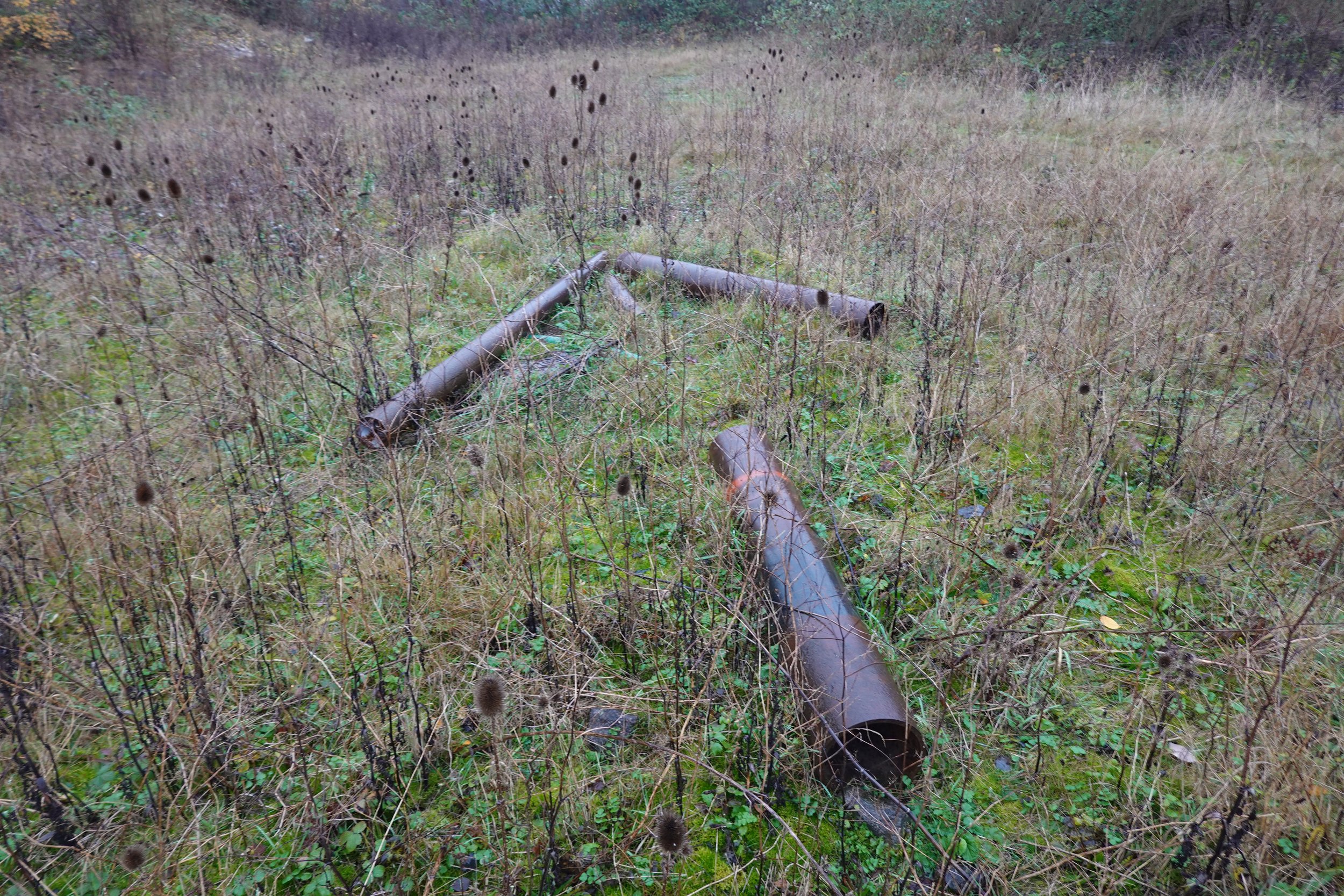 Parkwood Springs BNG Survey