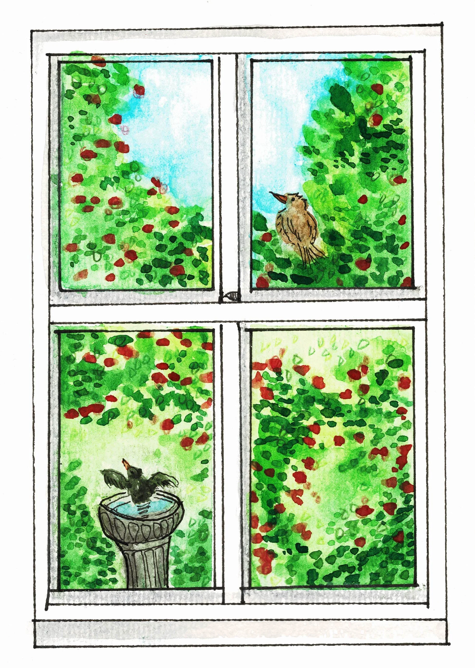 GARDEN_WINDOW.jpg