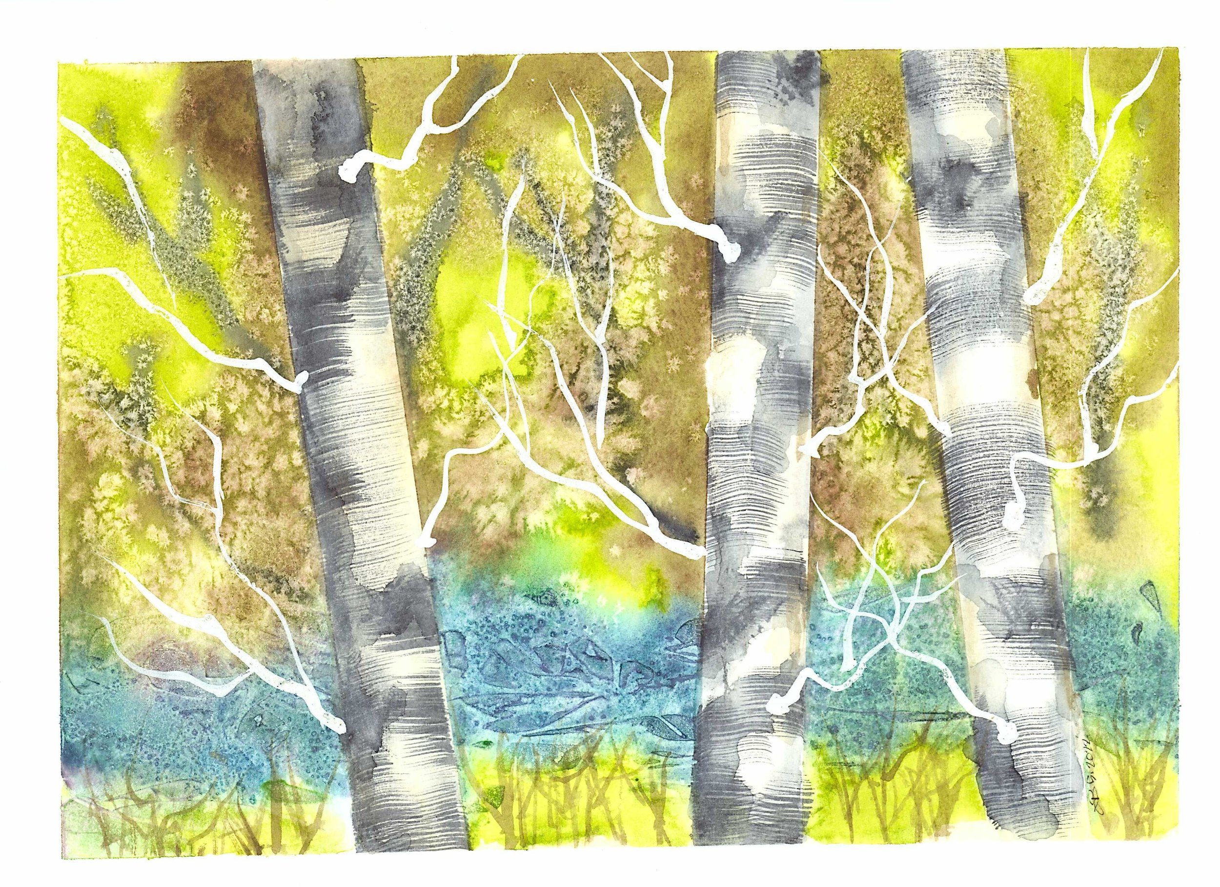 Birch_Spring.jpg