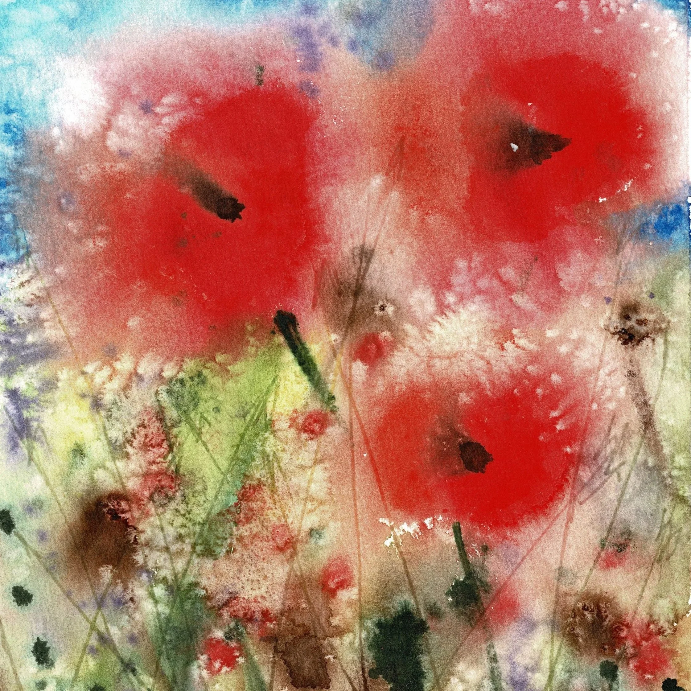 Poppies_Loose.jpg