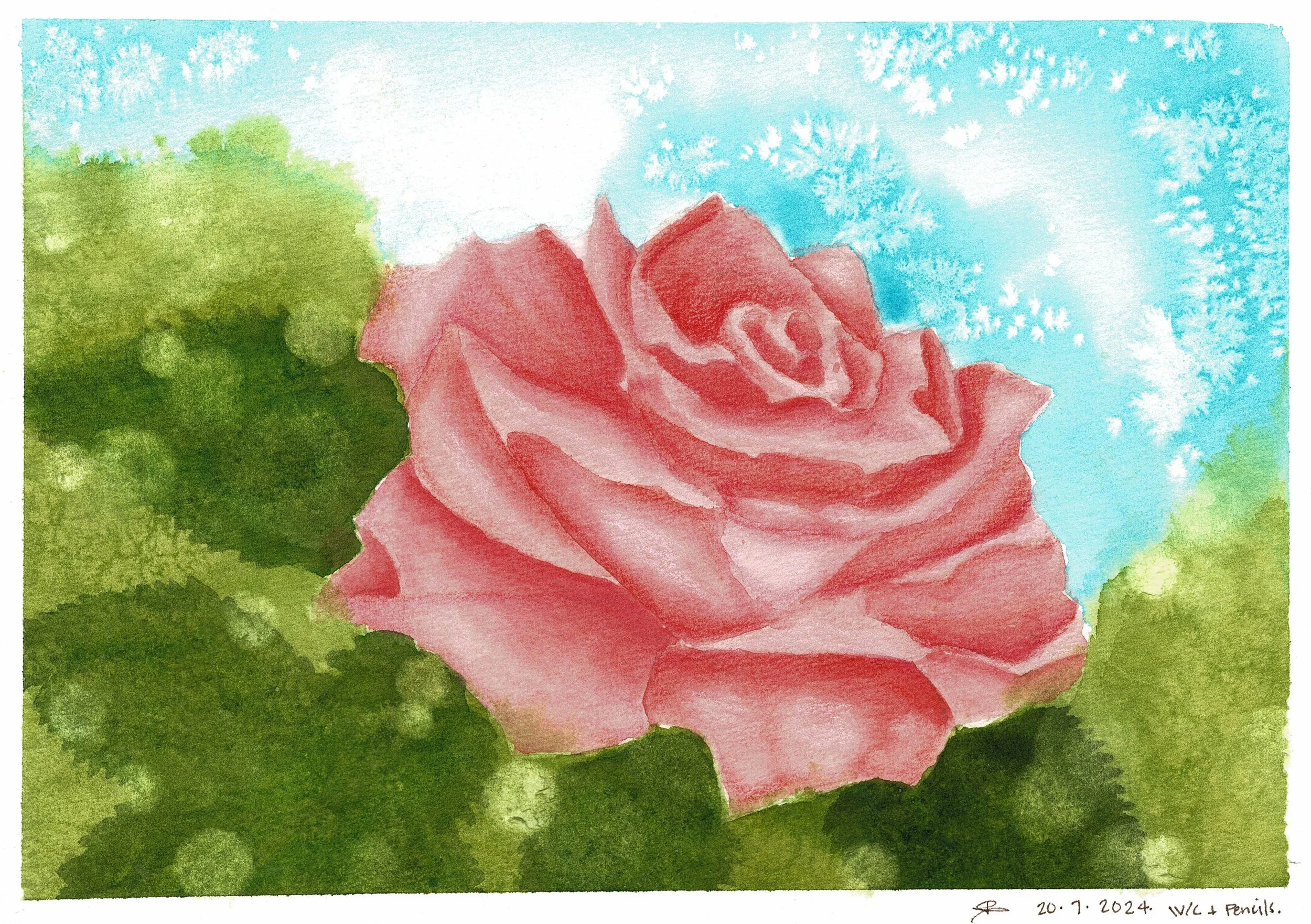 LAYERED_ROSE.jpg