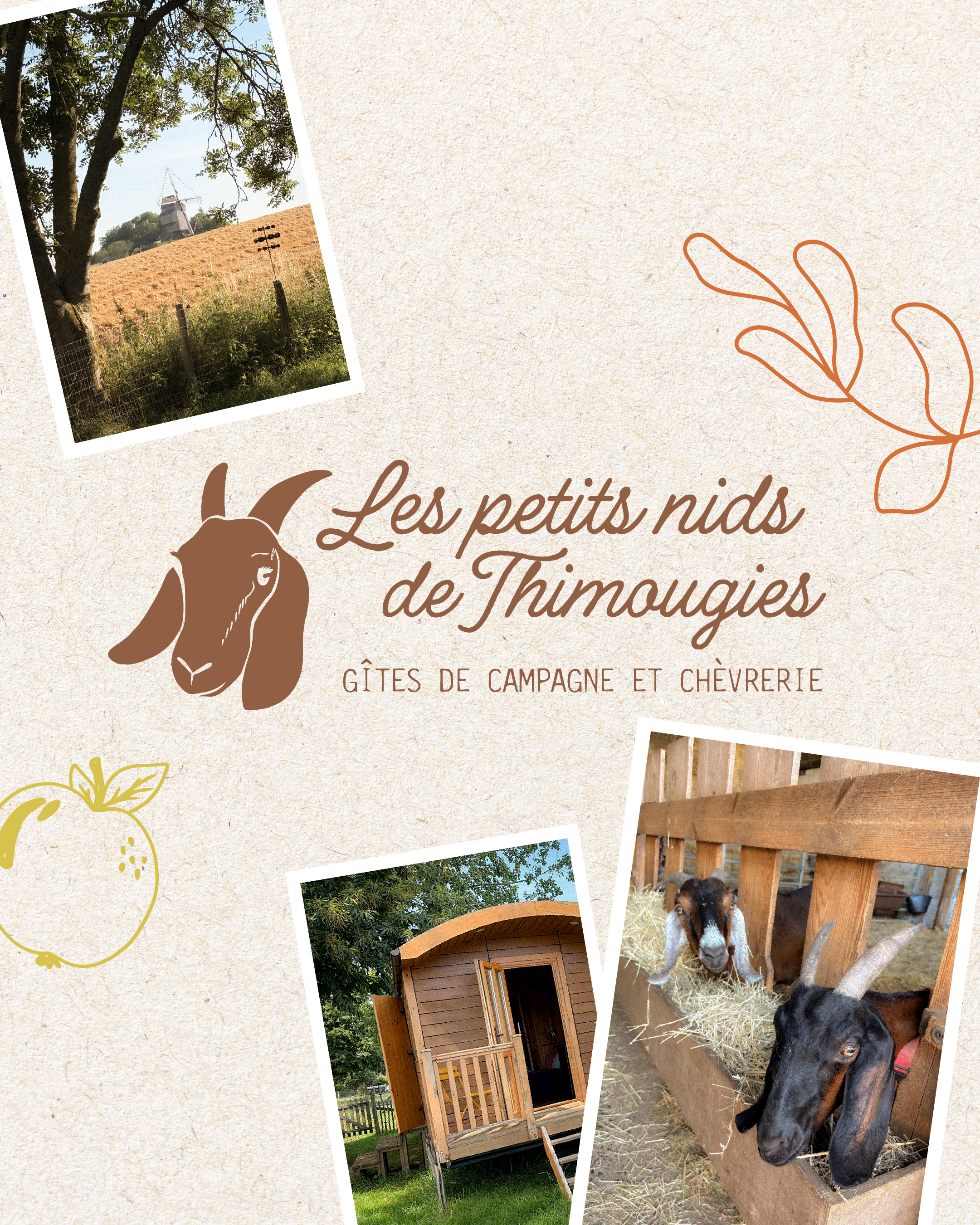 Design logo gite Thimougies ferme chevrerie campagne illustre a la main