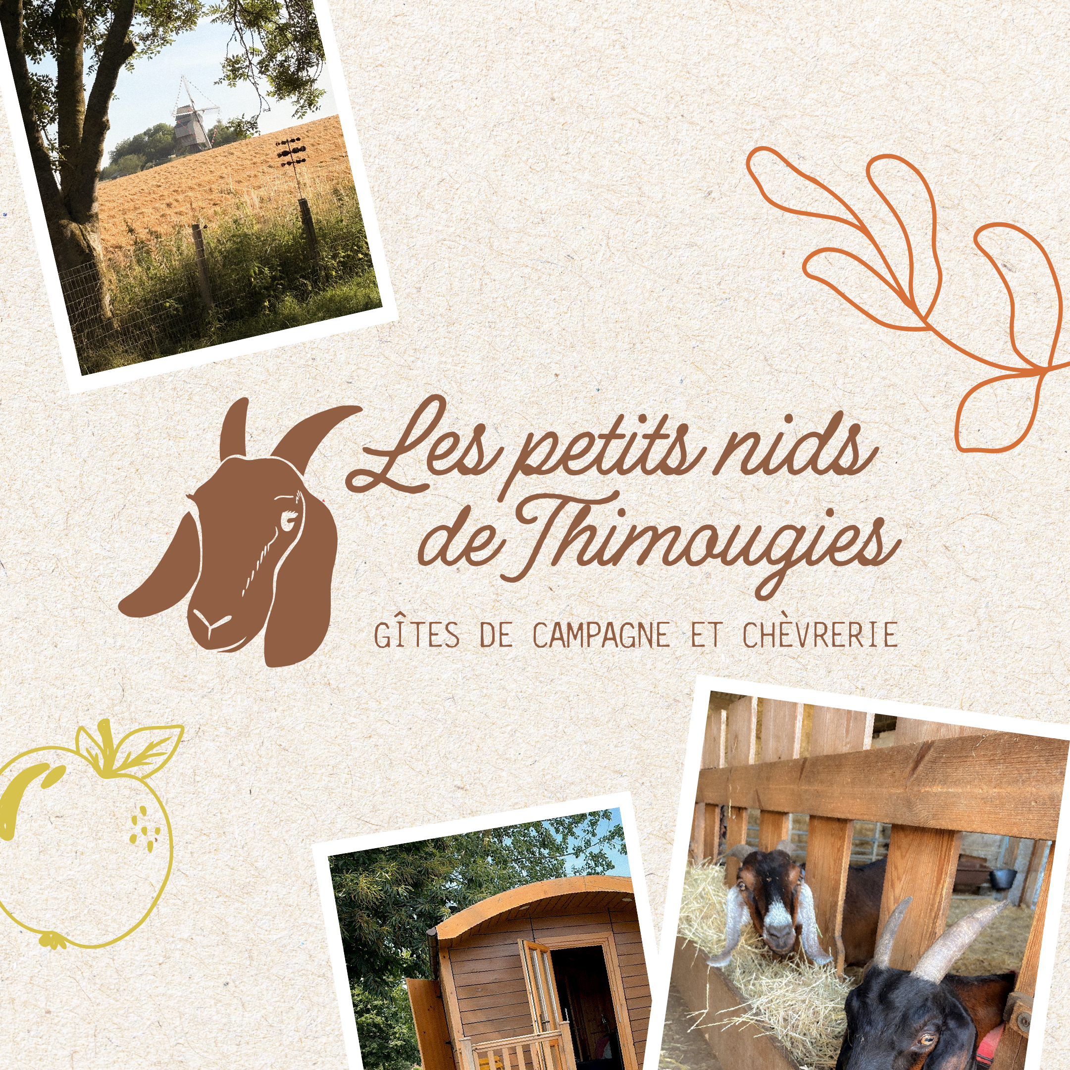 Les petits nids de Thimougies
