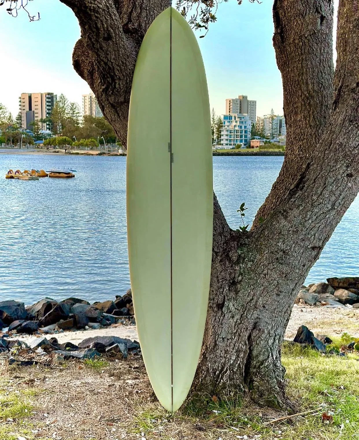 A light green surfboard leaning against a tree trunk near a river with city buildings in the background.