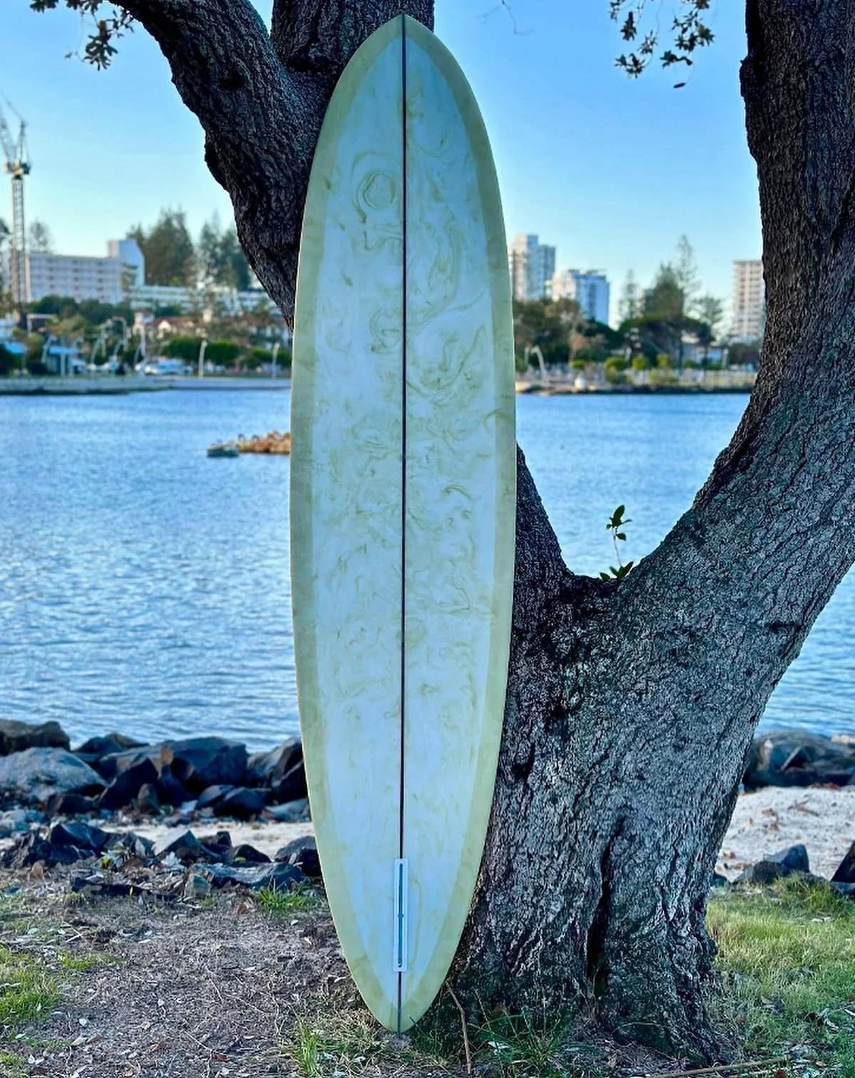 A surfboard leaning against a tree by a lakeside with city buildings in the background.