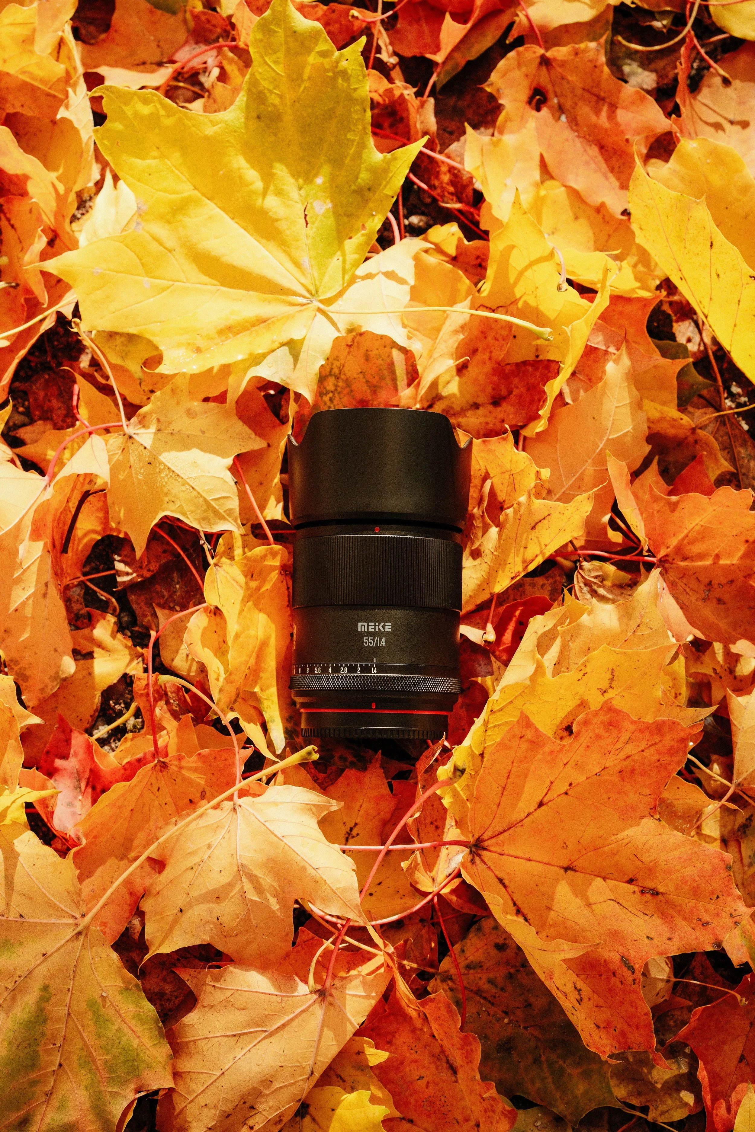 Meike 55mm F1.4 APS-C - Affordable Portrait Power with Real Limitations