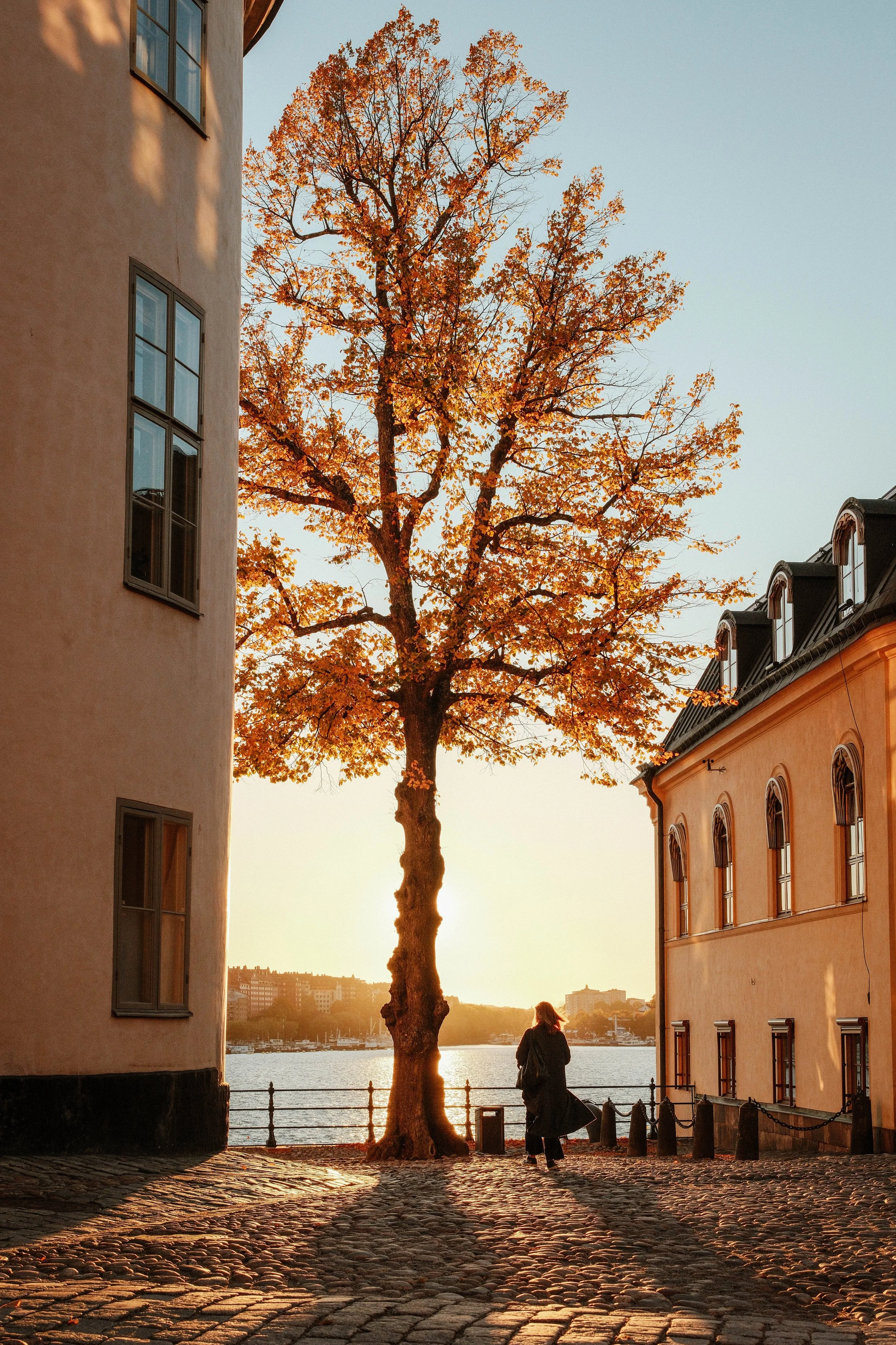 Golden Stockholm