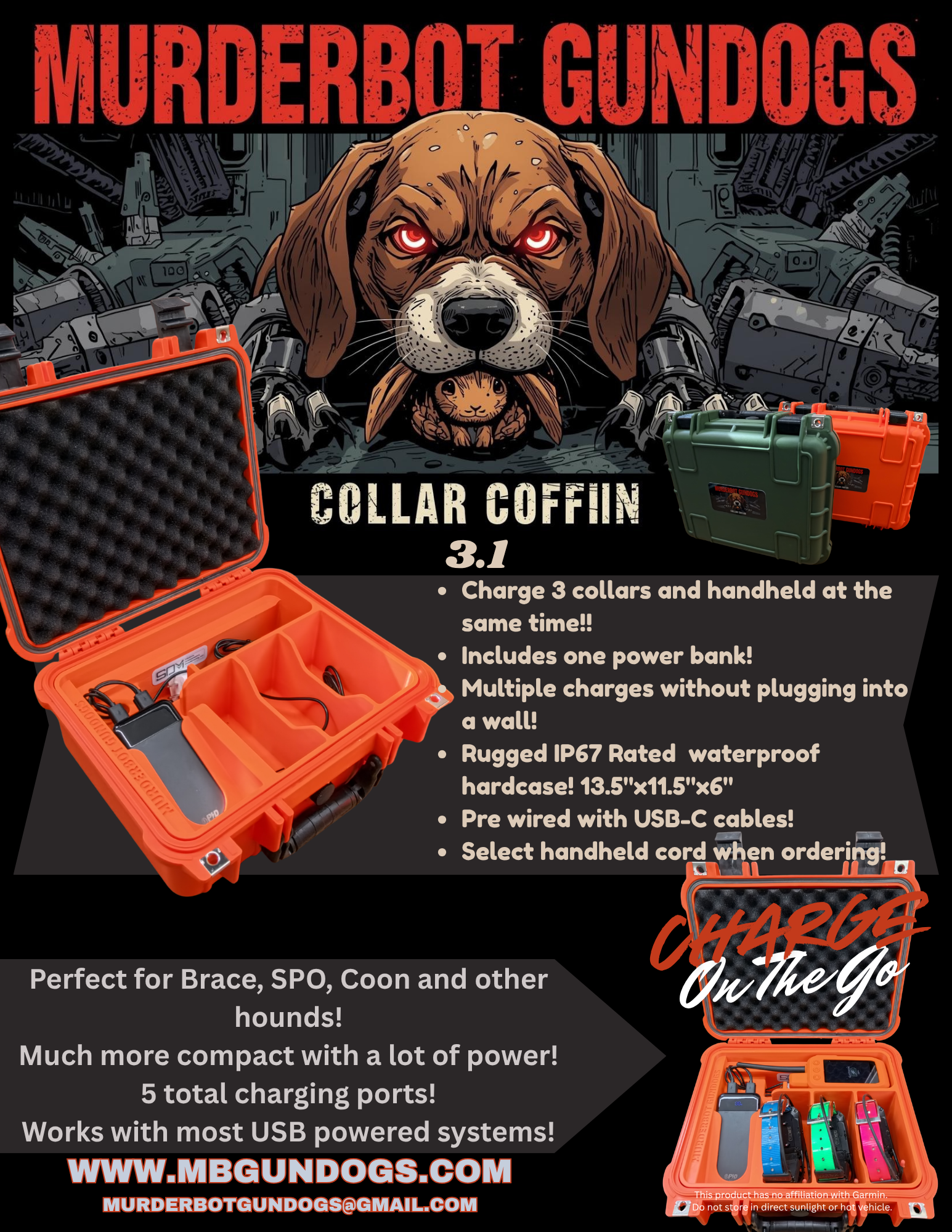CC3.1 Flyer.png