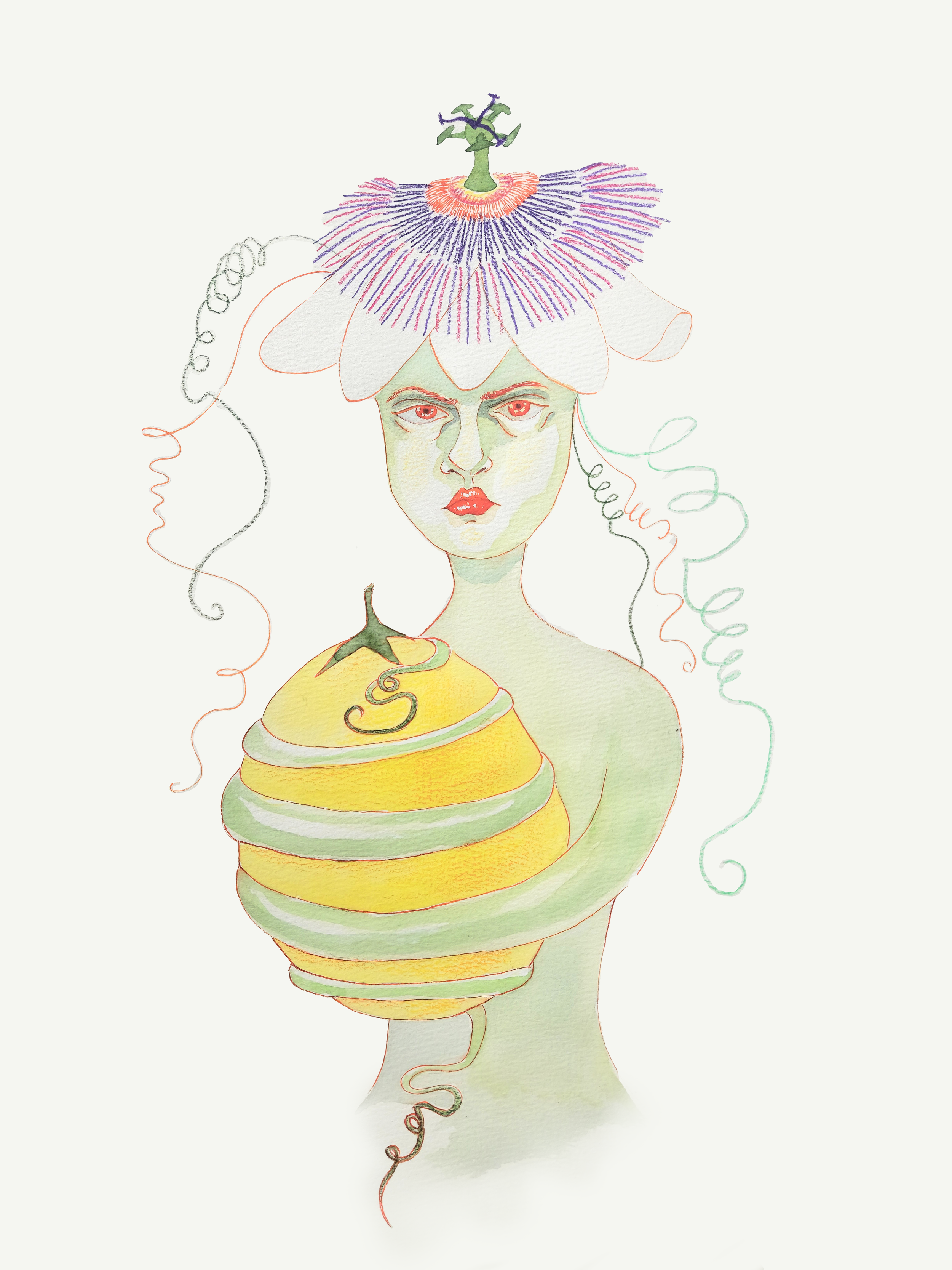 For Passion: Maracuyá, korean ink and watercolor, 42x29.7cm