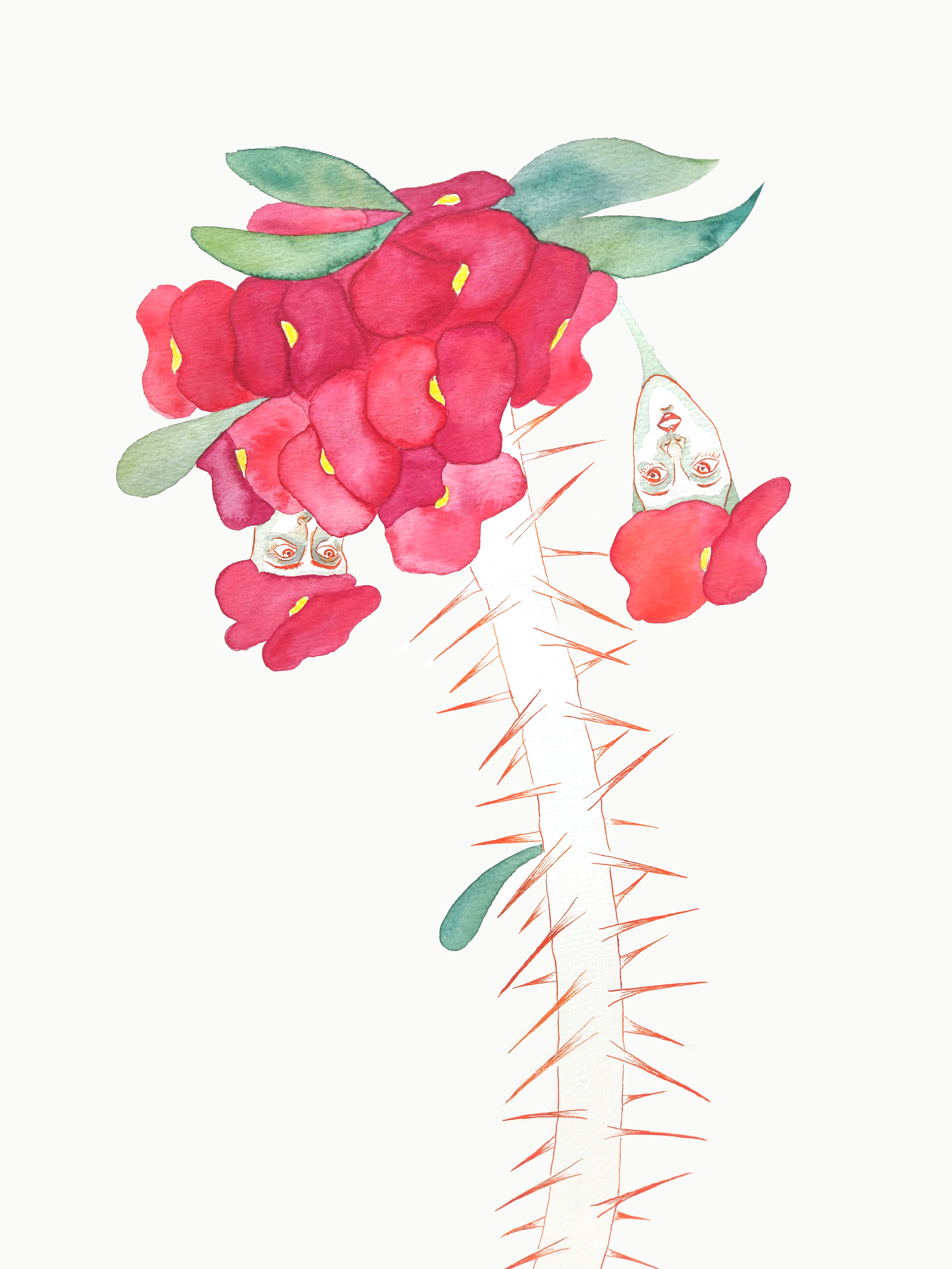 For Guilt: Corona de Cristo, korean ink and watercolor, 42x29.7cm (3ea)