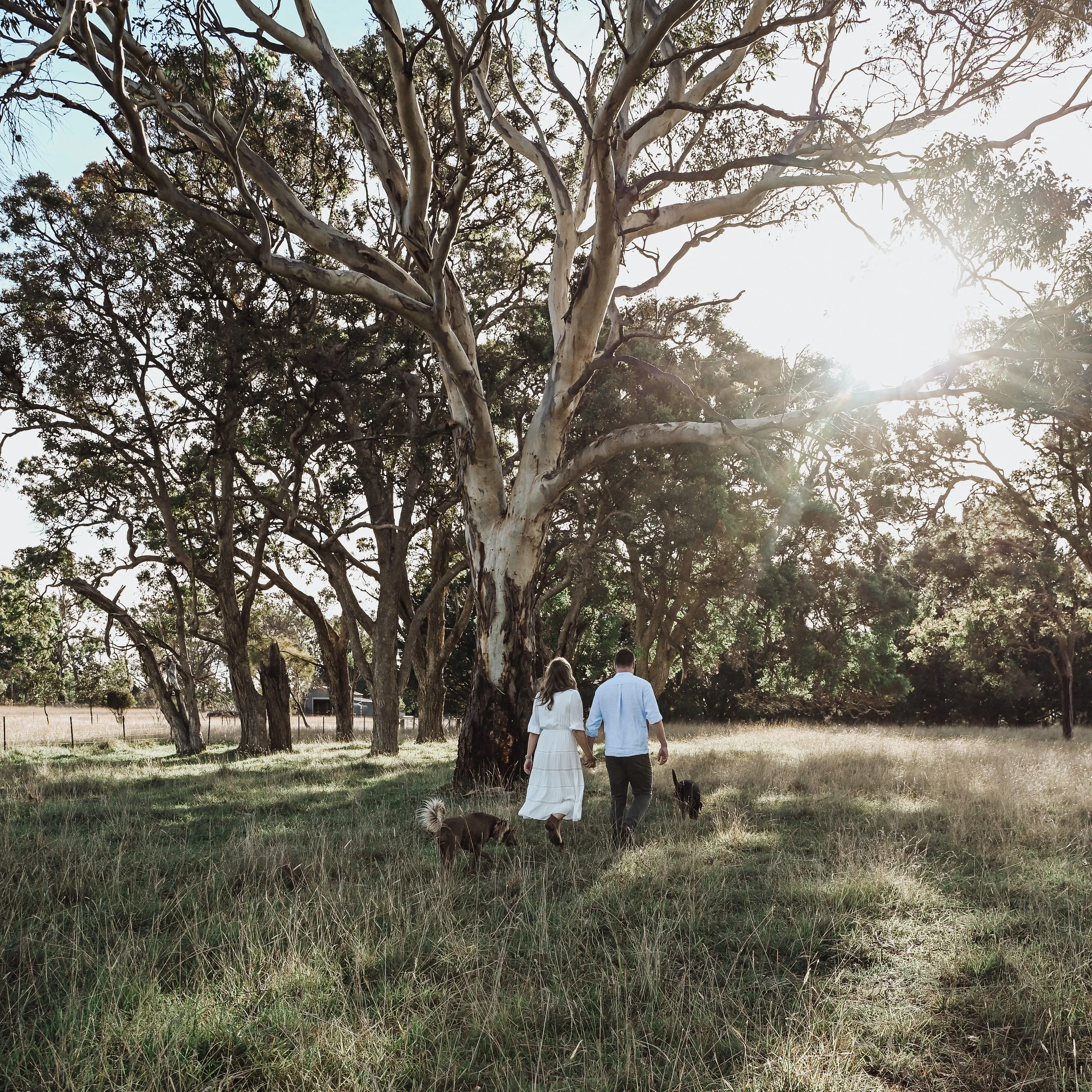 Clementine Media, Armidale Photographer, Family Photography, Lifestyle Photography.jpg