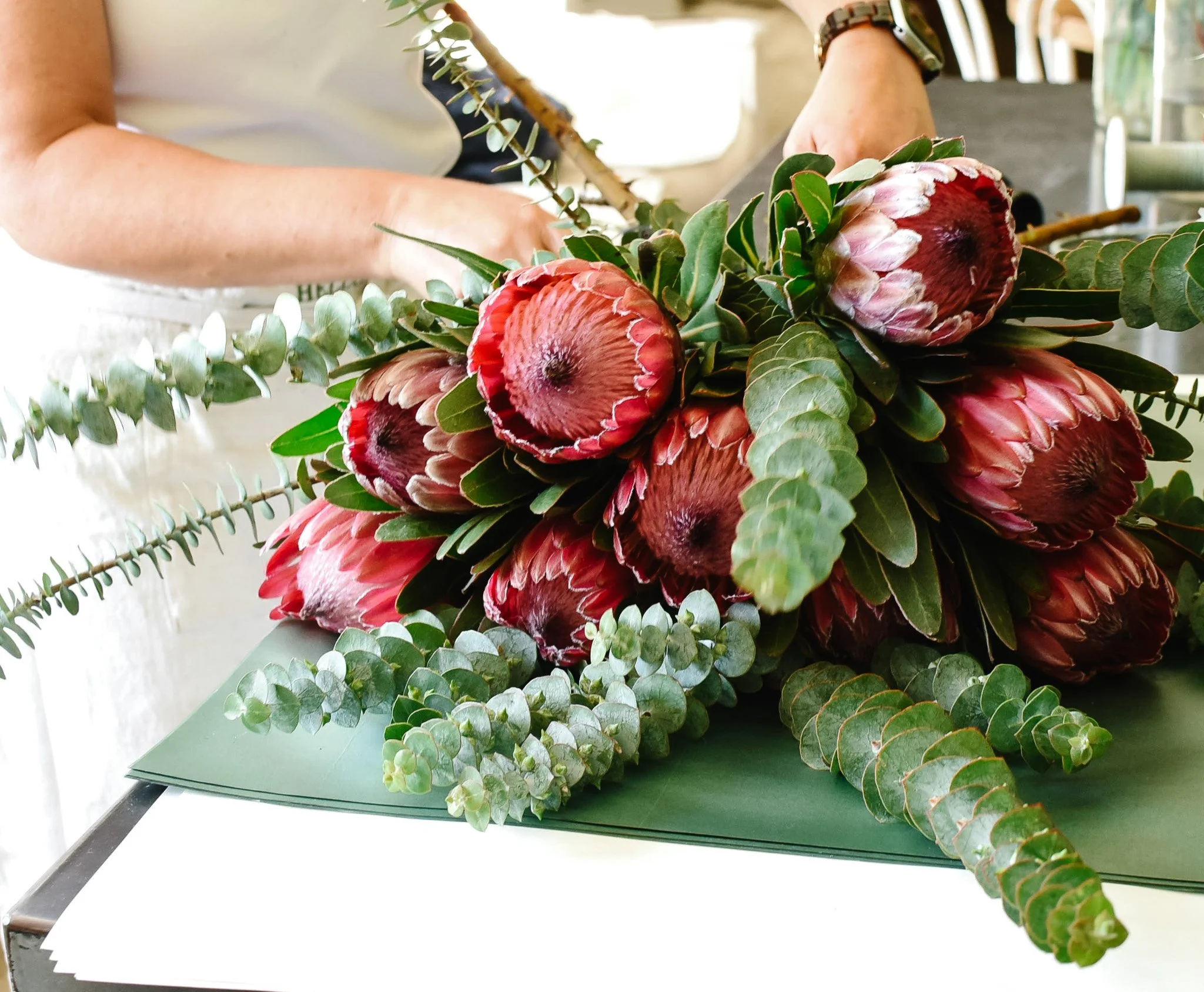 Clementine Media, Armidale photographer, brand photography, commercial photography, portrait photography.jpg