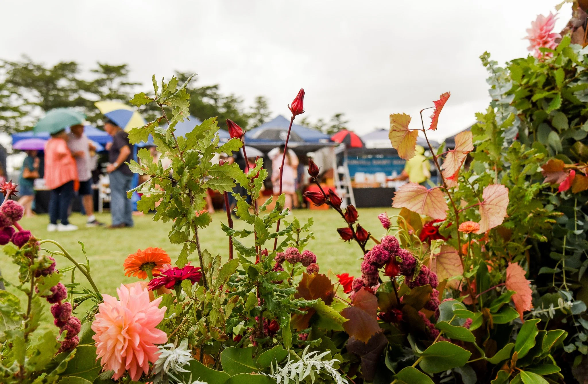 Clementine Media, Event Photography, Lifestyle Photographer, Armidale, New South Wales.jpg