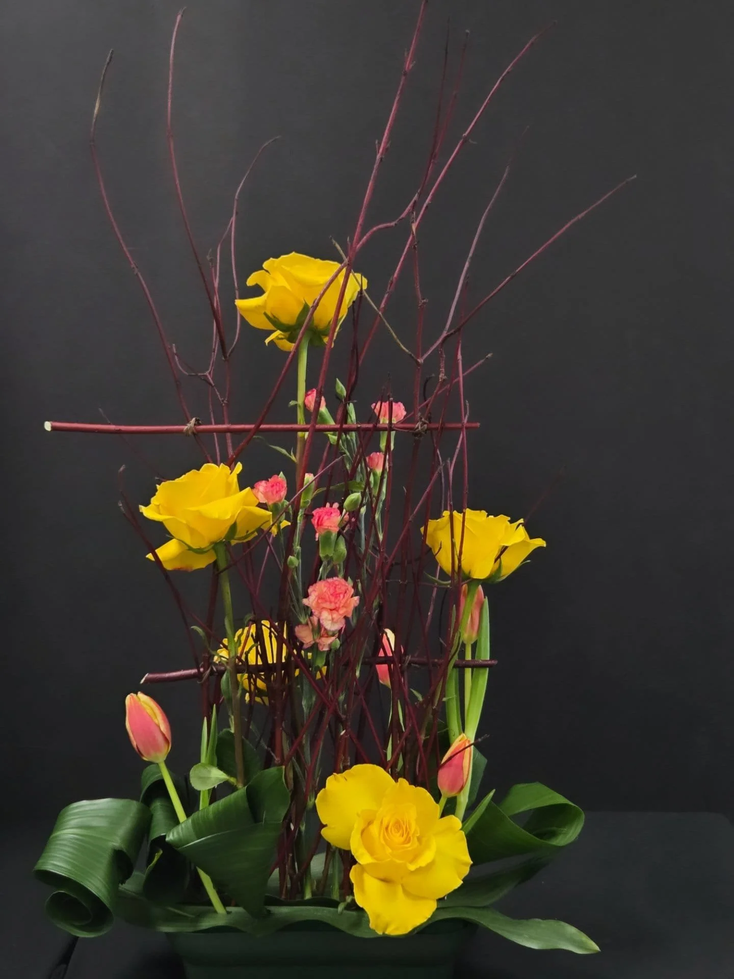 WhatsApp Image 2026-04-13 at 6.14.08 AM.jpeg