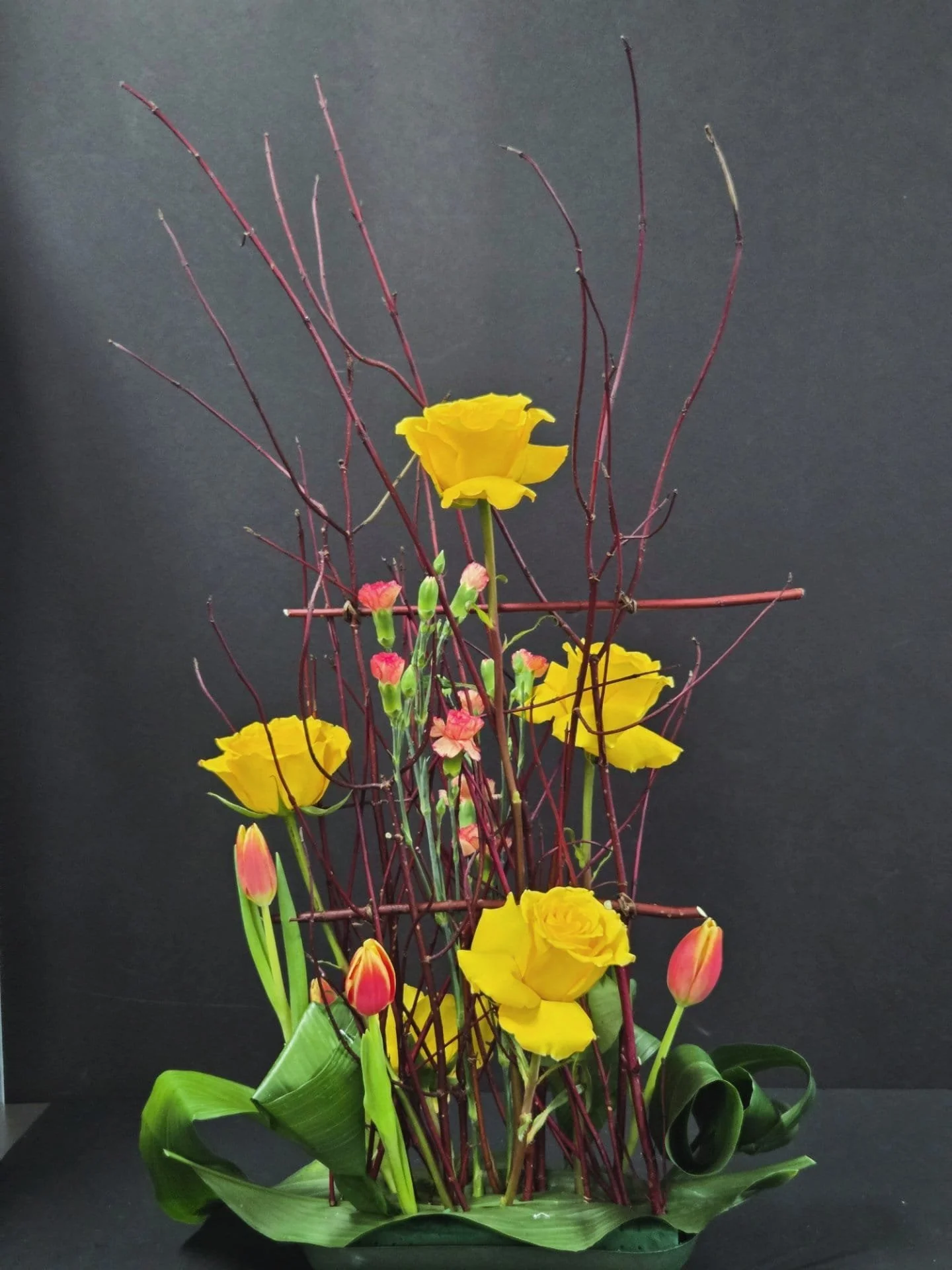 WhatsApp Image 2026-04-13 at 6.14.07 AM.jpeg