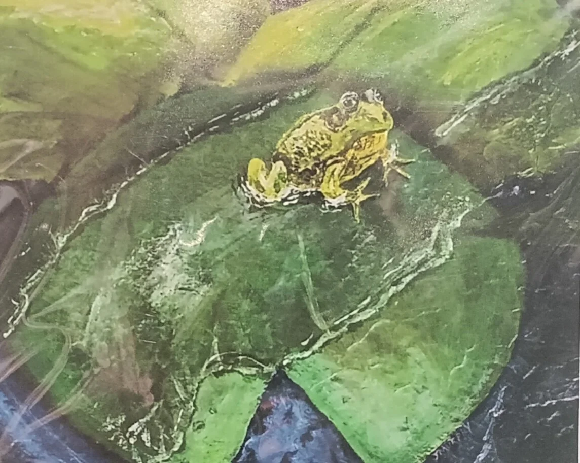Frog on lilly pad 2.jpg