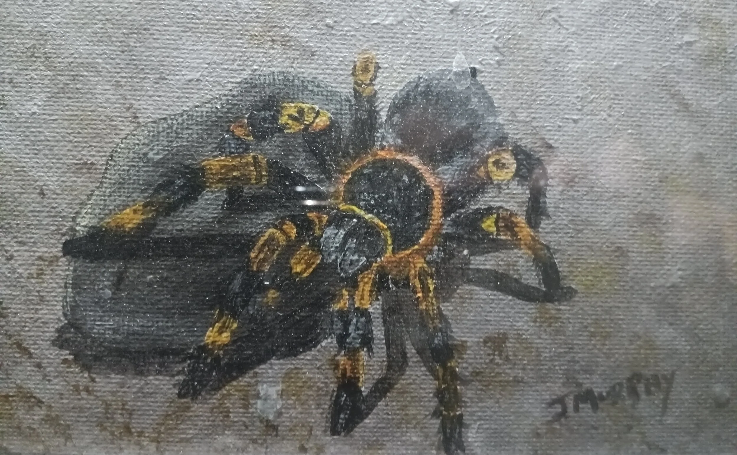 Tarantula Painting 2.jpg