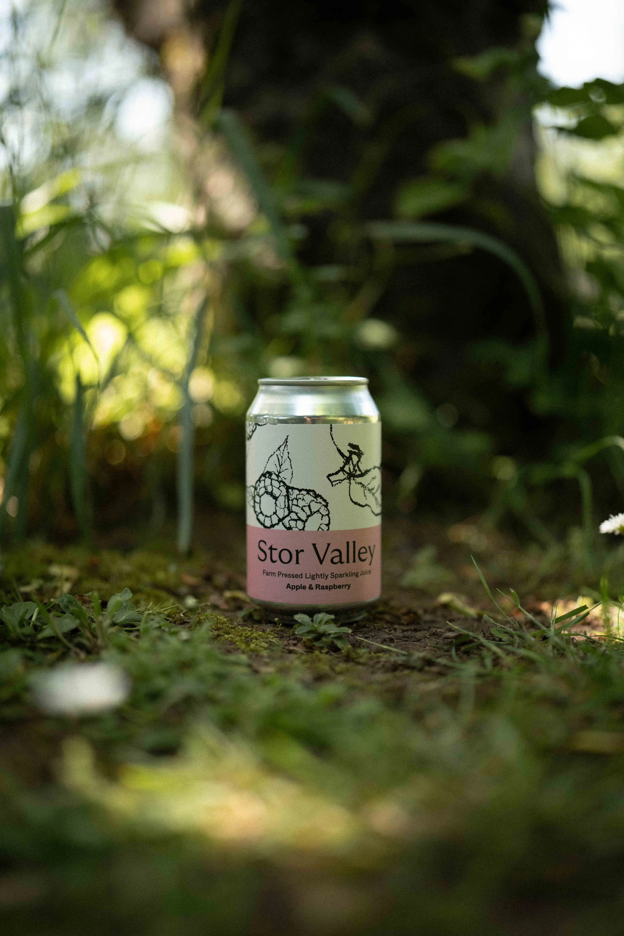 Apple + Raspberry (6 Cans)