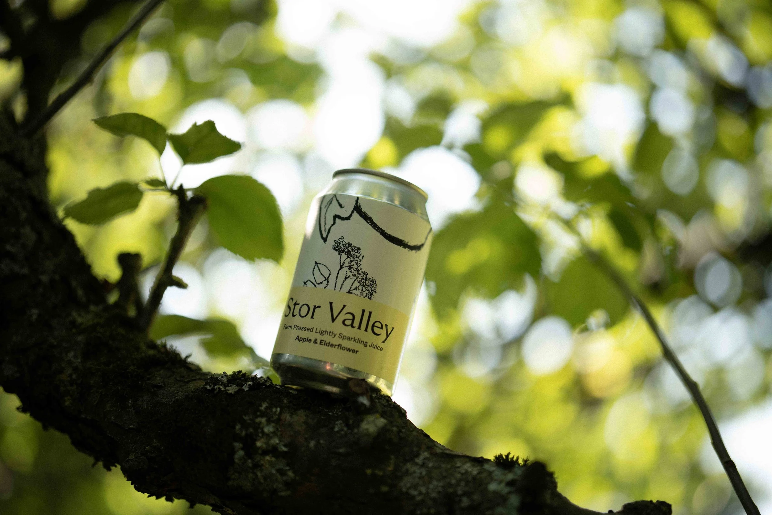 Apple + Elderflower (6 Cans)