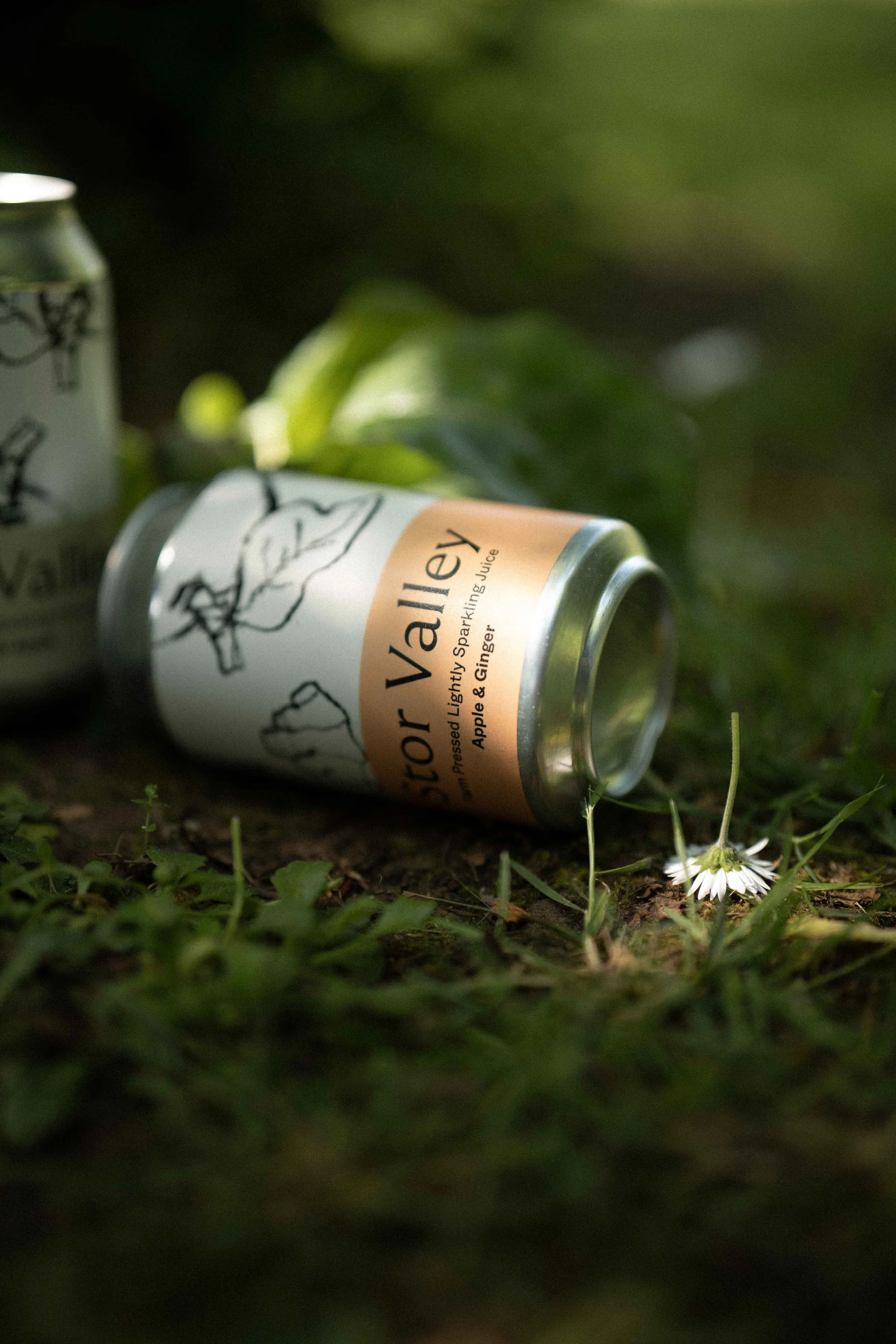 Apple + Ginger (6 Cans)