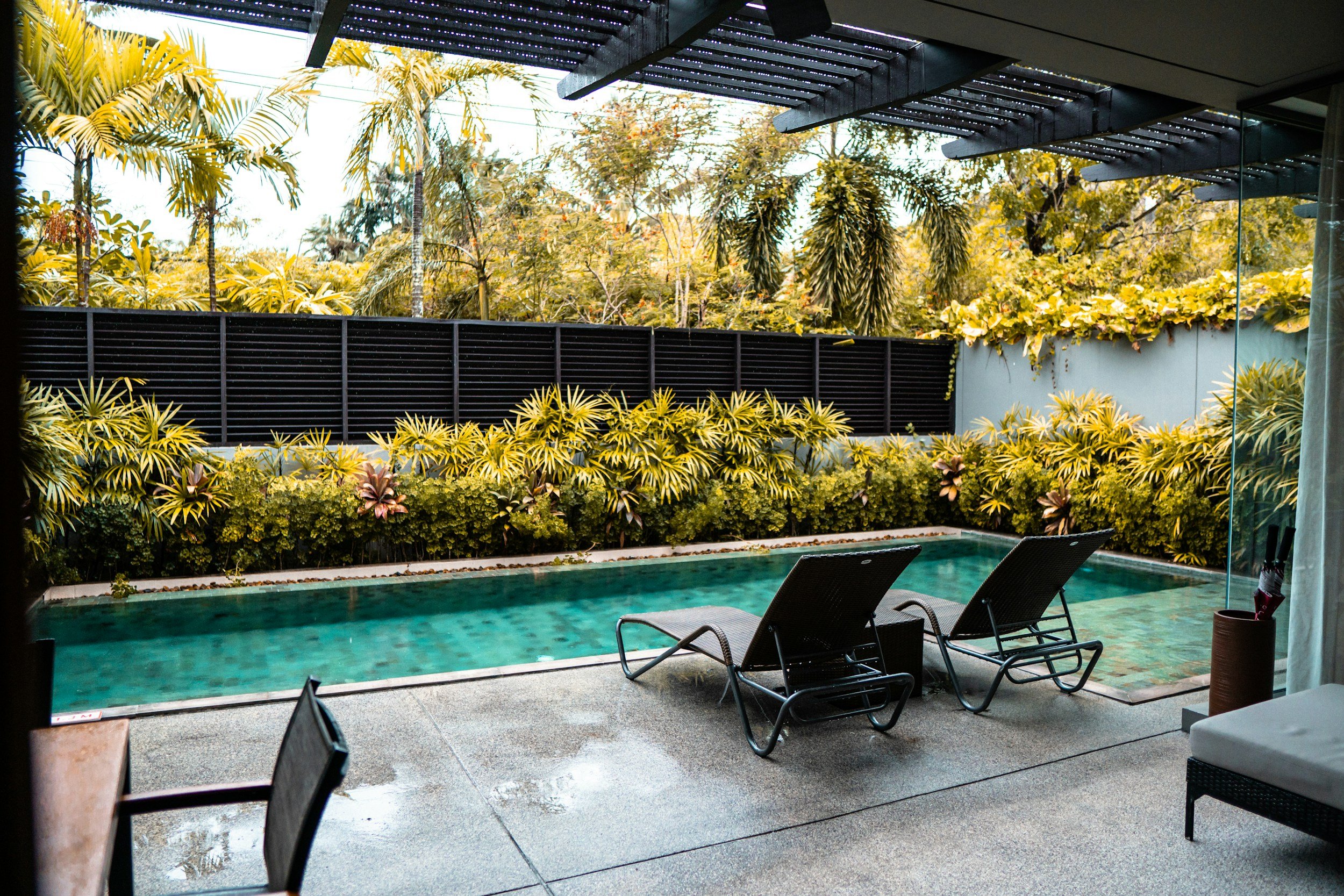 The Best Trees, Shrubs &amp; Plants Around Pools (And the Ones You'll Regret Planting)