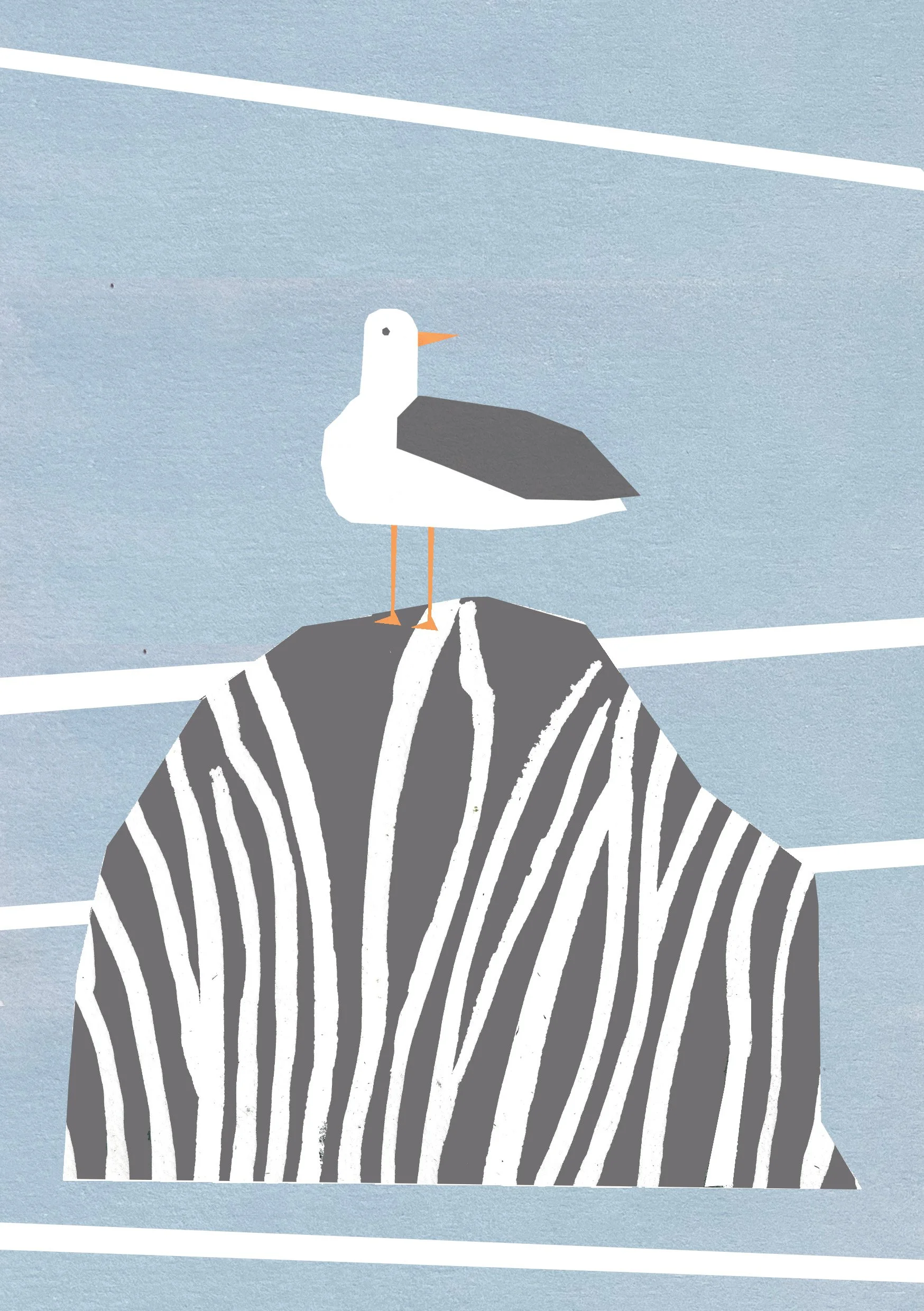 seagul 2.jpg
