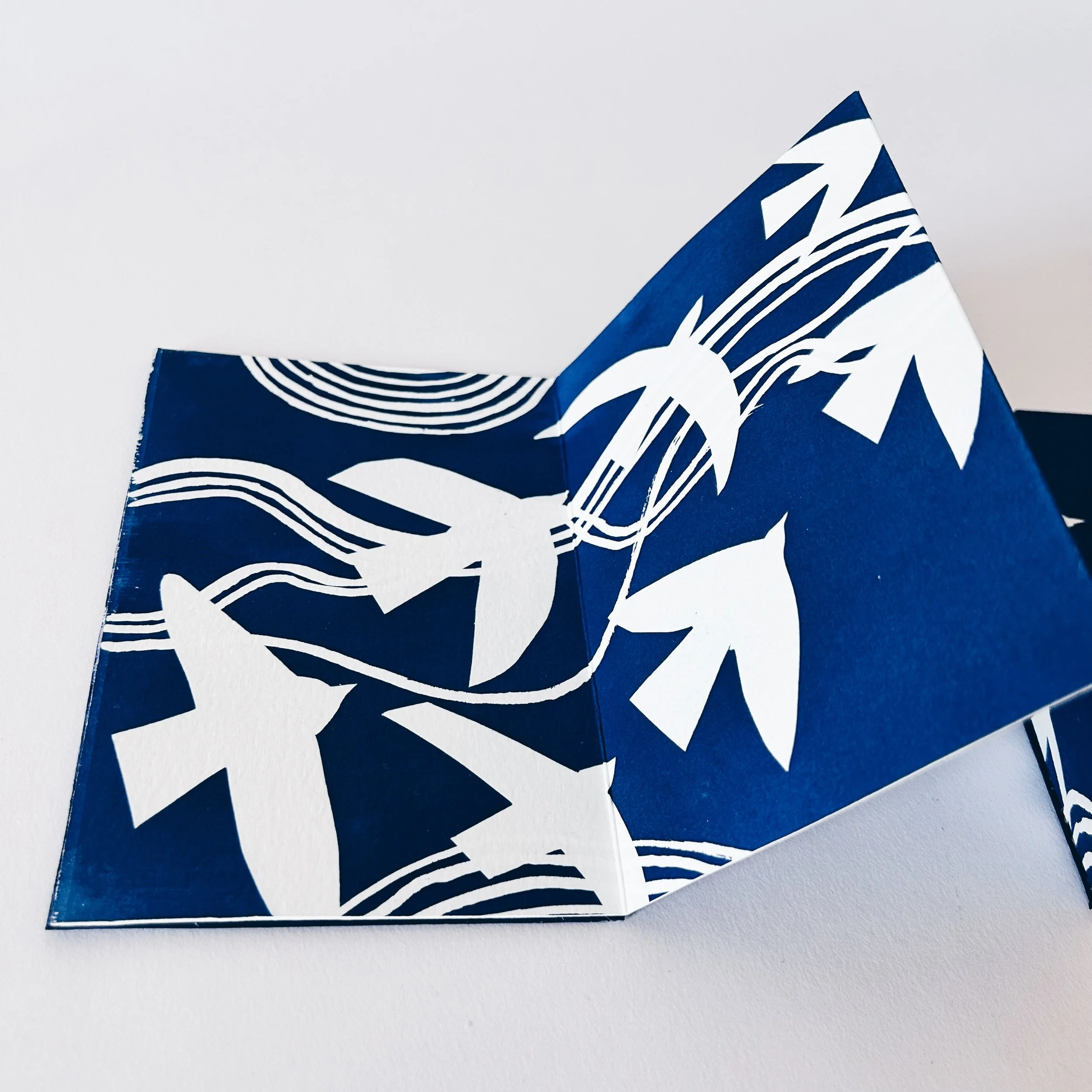 FullSizeRender_VSCO 50.JPG