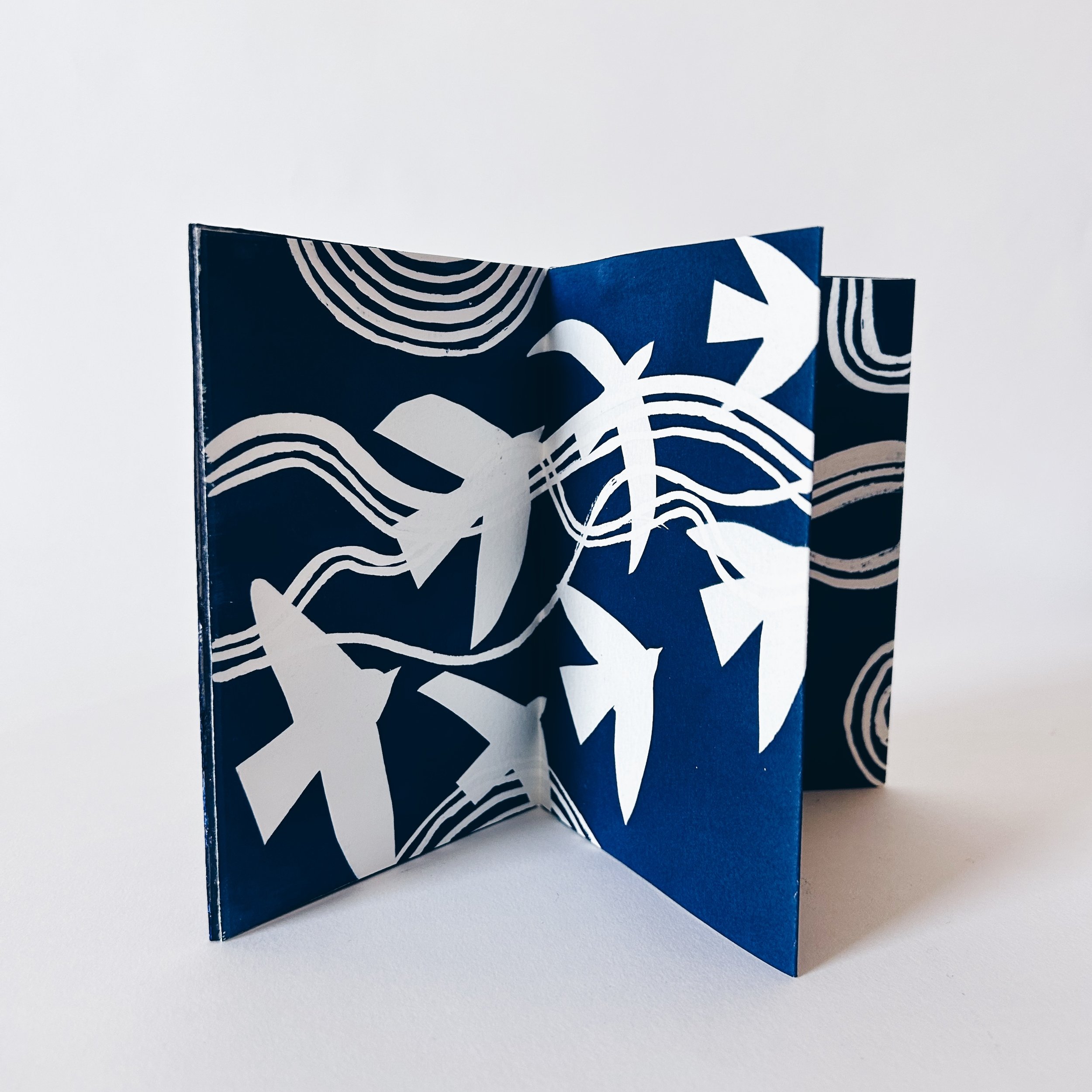 FullSizeRender_VSCO 47.JPG