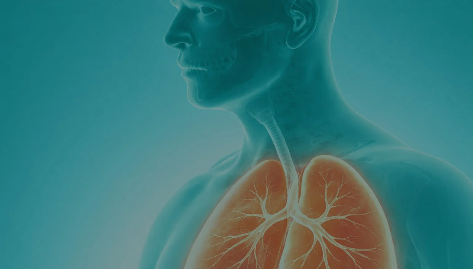 thoracic-5.jpg