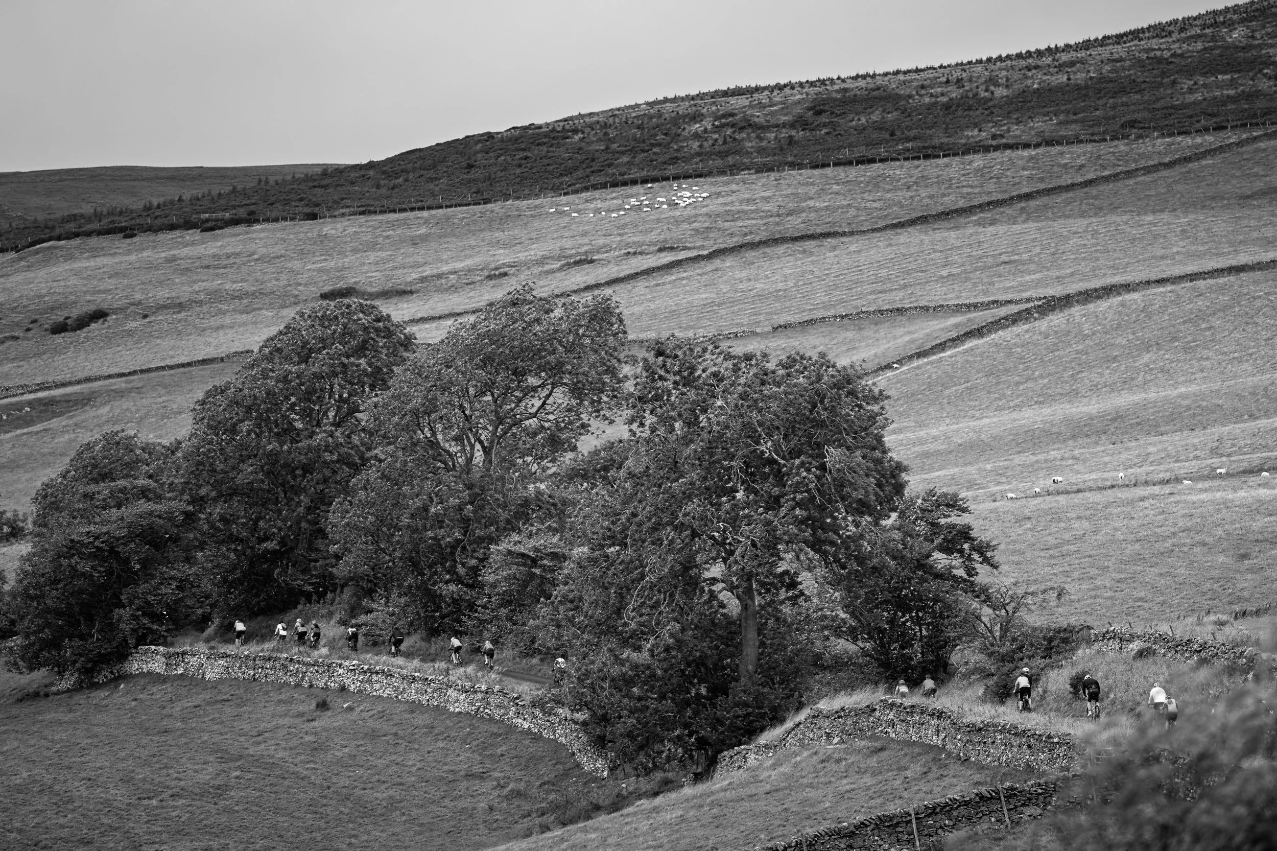 40_1081_Touro_jez@hi-jinksphotography_BW_Web.jpg