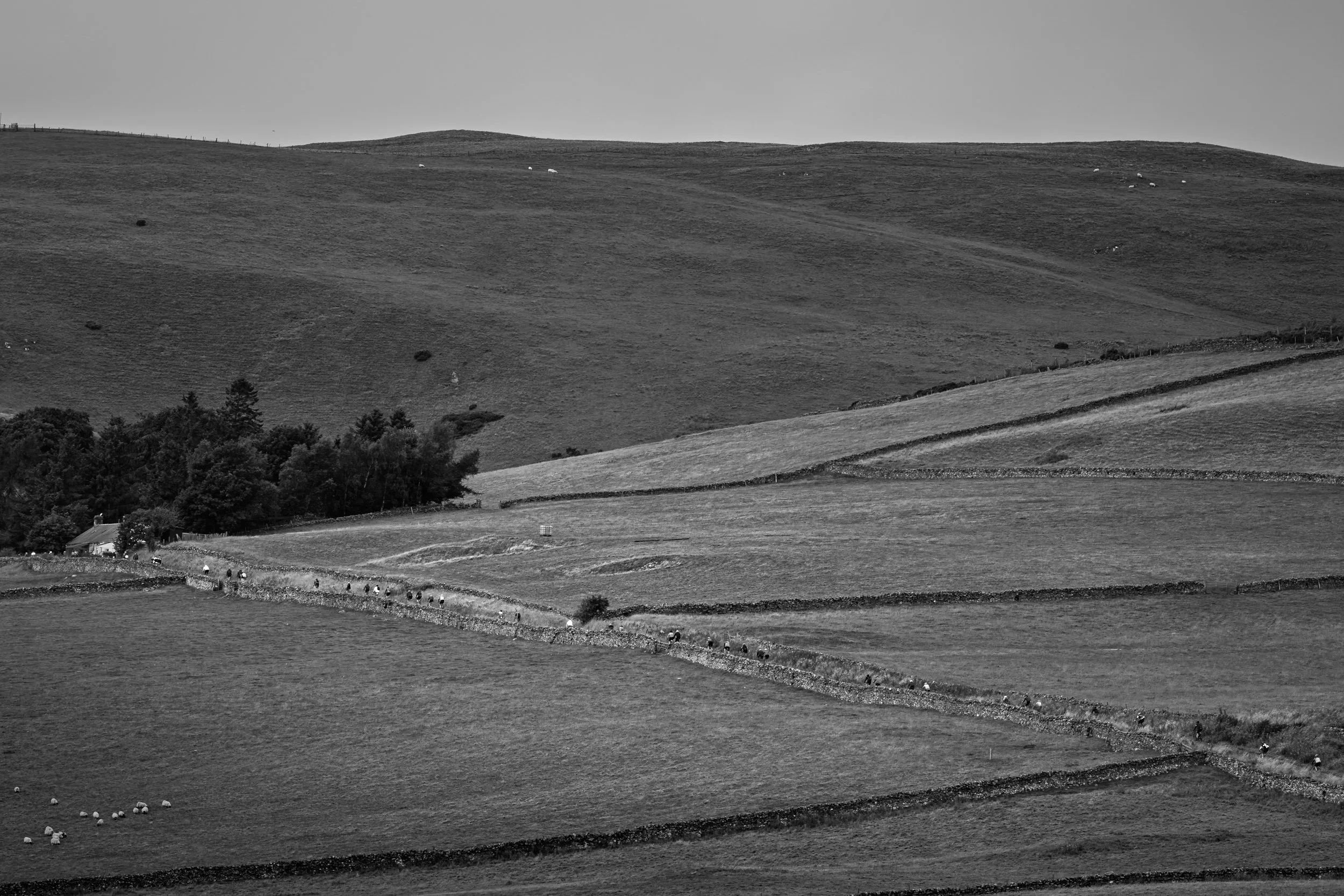 40_1084_Touro_jez@hi-jinksphotography_BW_Web.jpg