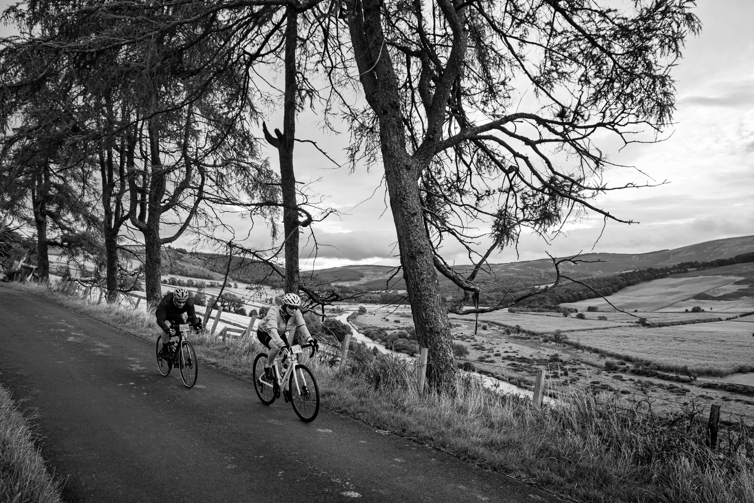 40_1140_Touro_jez@hi-jinksphotography_BW_Web.jpg