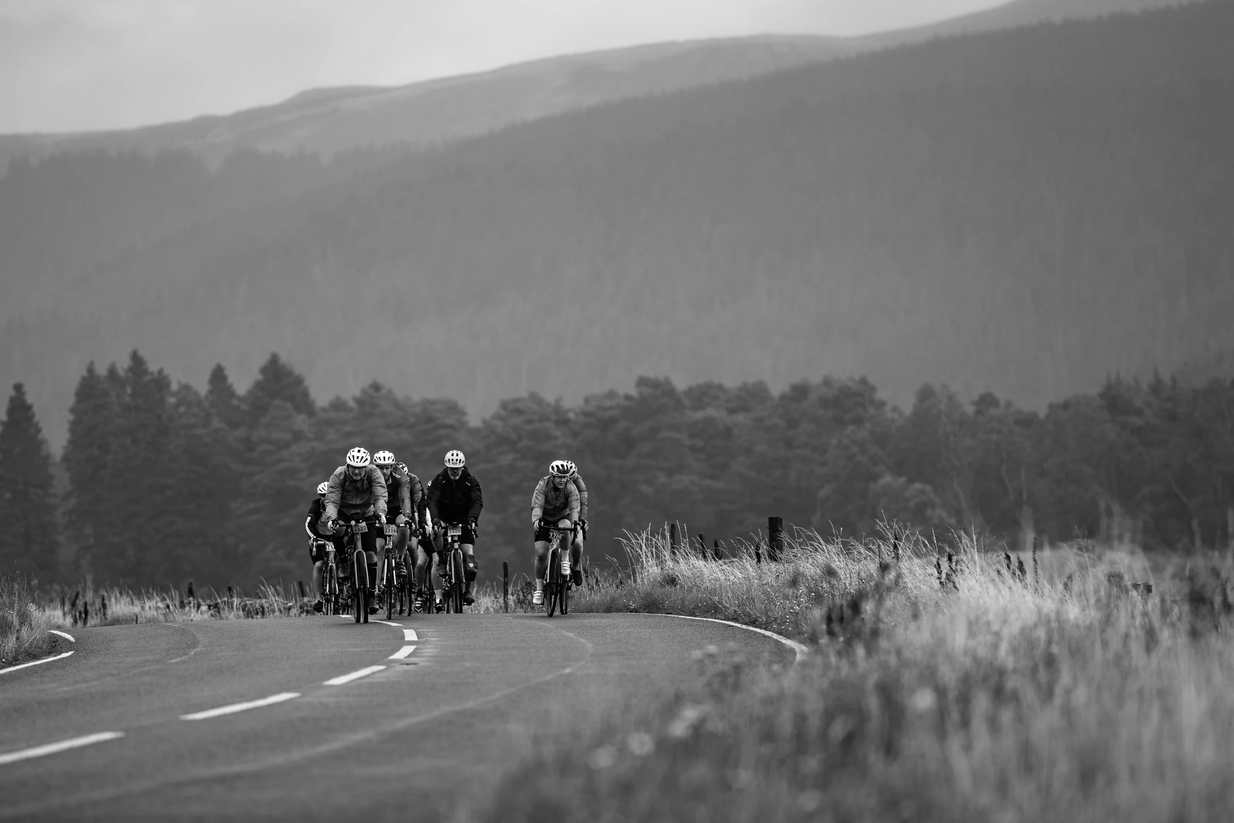 40_1384_Touro_jez@hi-jinksphotography_BW_Web.jpg