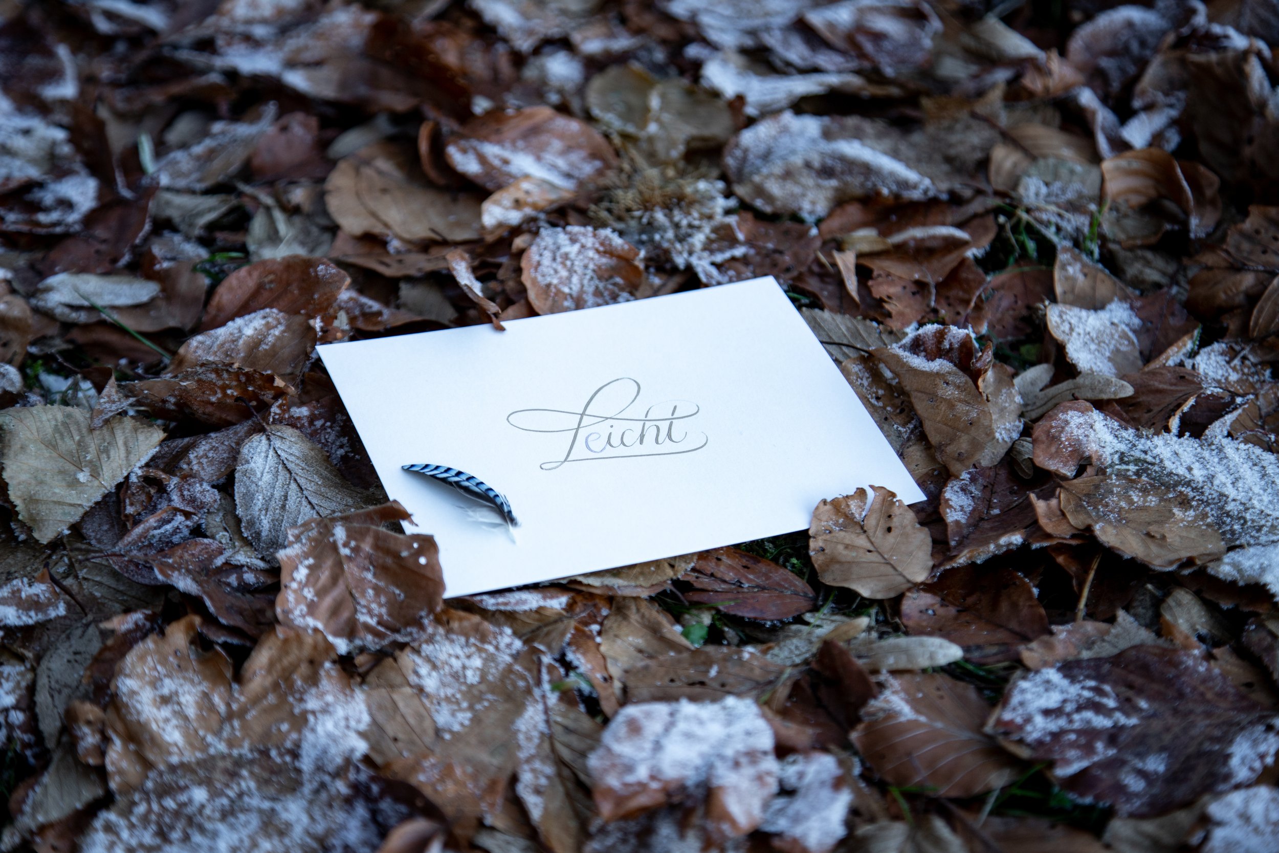 KALLIGRAFIE / Papier / © Jennifer Perauer
