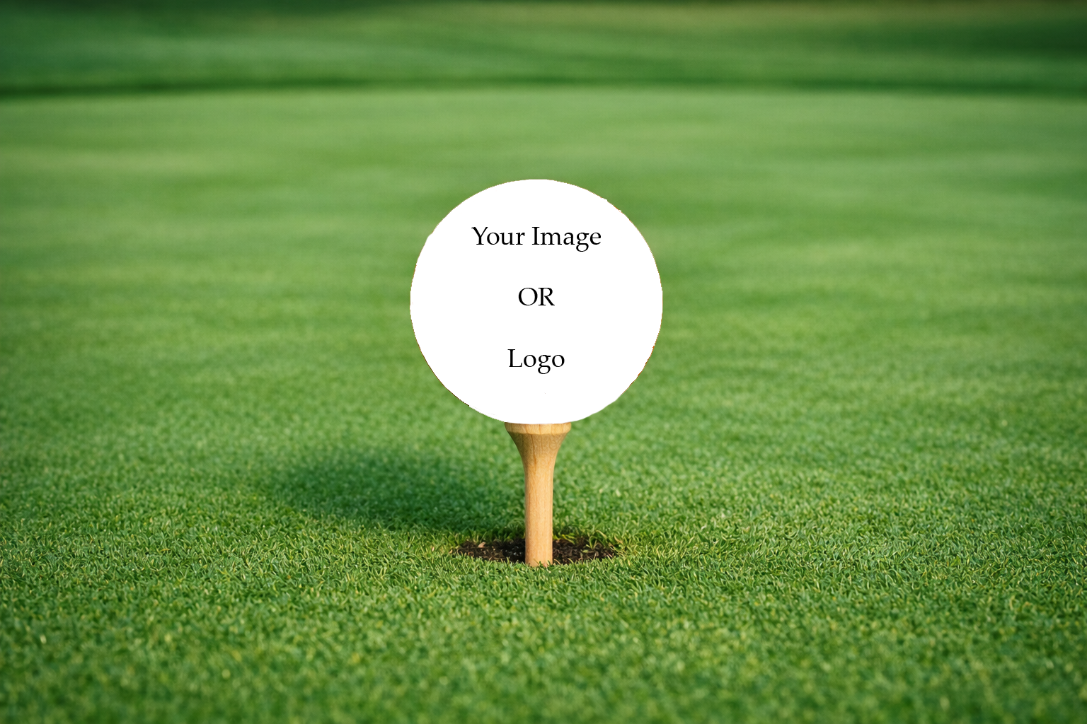 Customized Golf Ball Sleeves