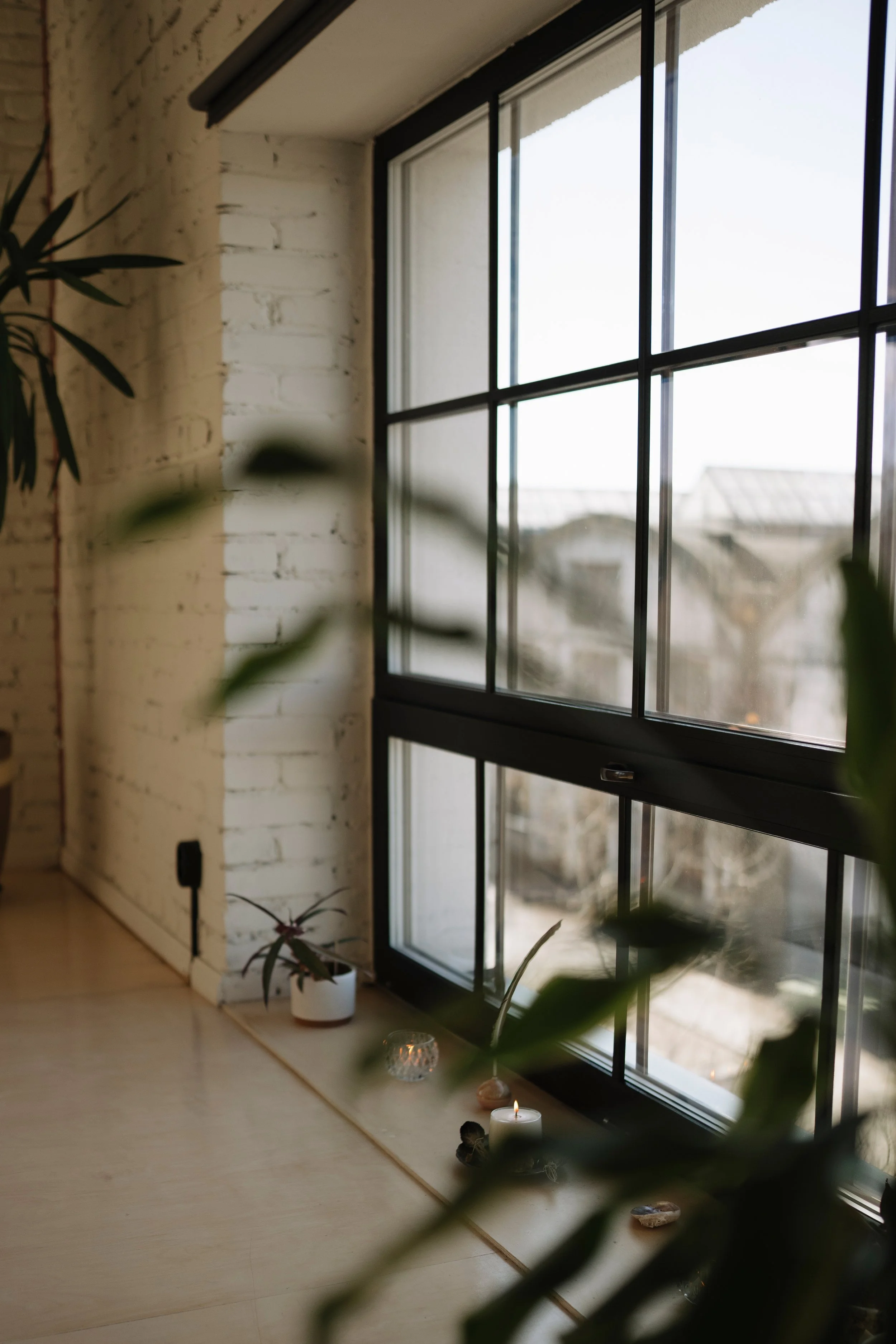 Indoor scene near a large window with black frames, white brick wall, potted plants, and lit candles on a wooden floor.