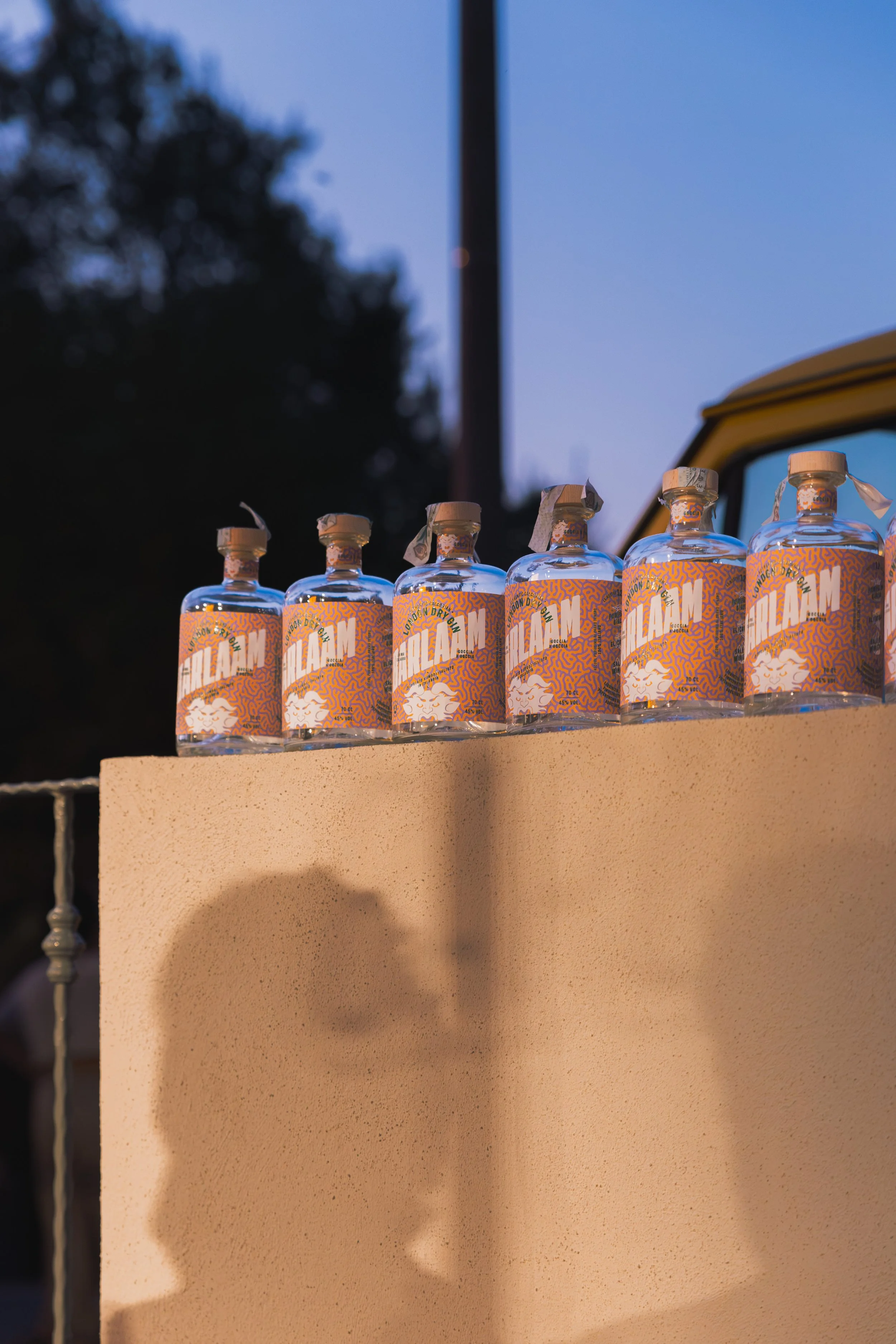 Bottiglie di acqua naturale con etichette colorate posizionate su un ripiano di fronte al cielo al tramonto.
