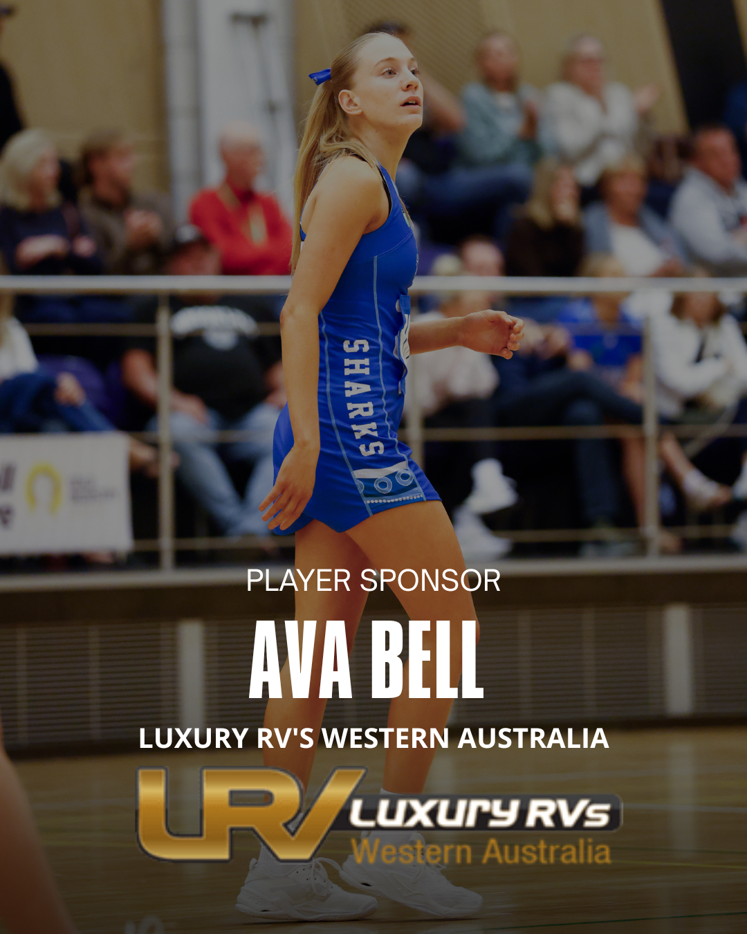 Ava bell.png