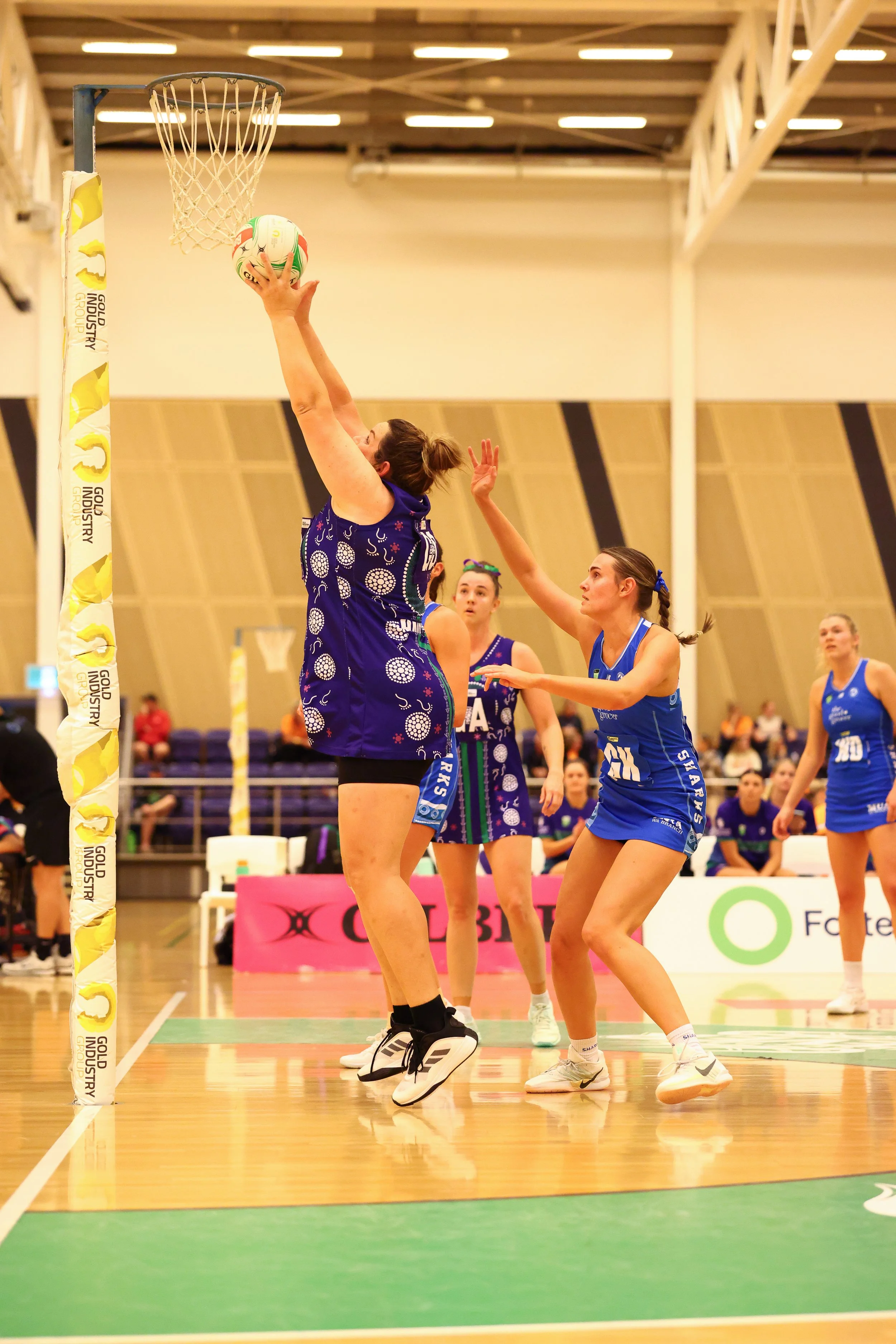 R2 OPEN 2026 SHARKS DEFENDING.jpg