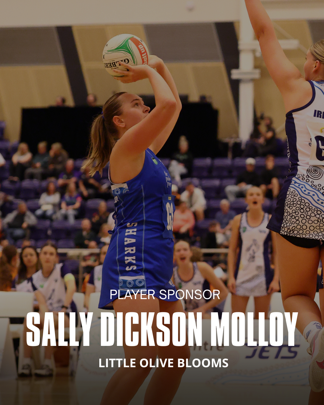 Sally Dickson molloy.png