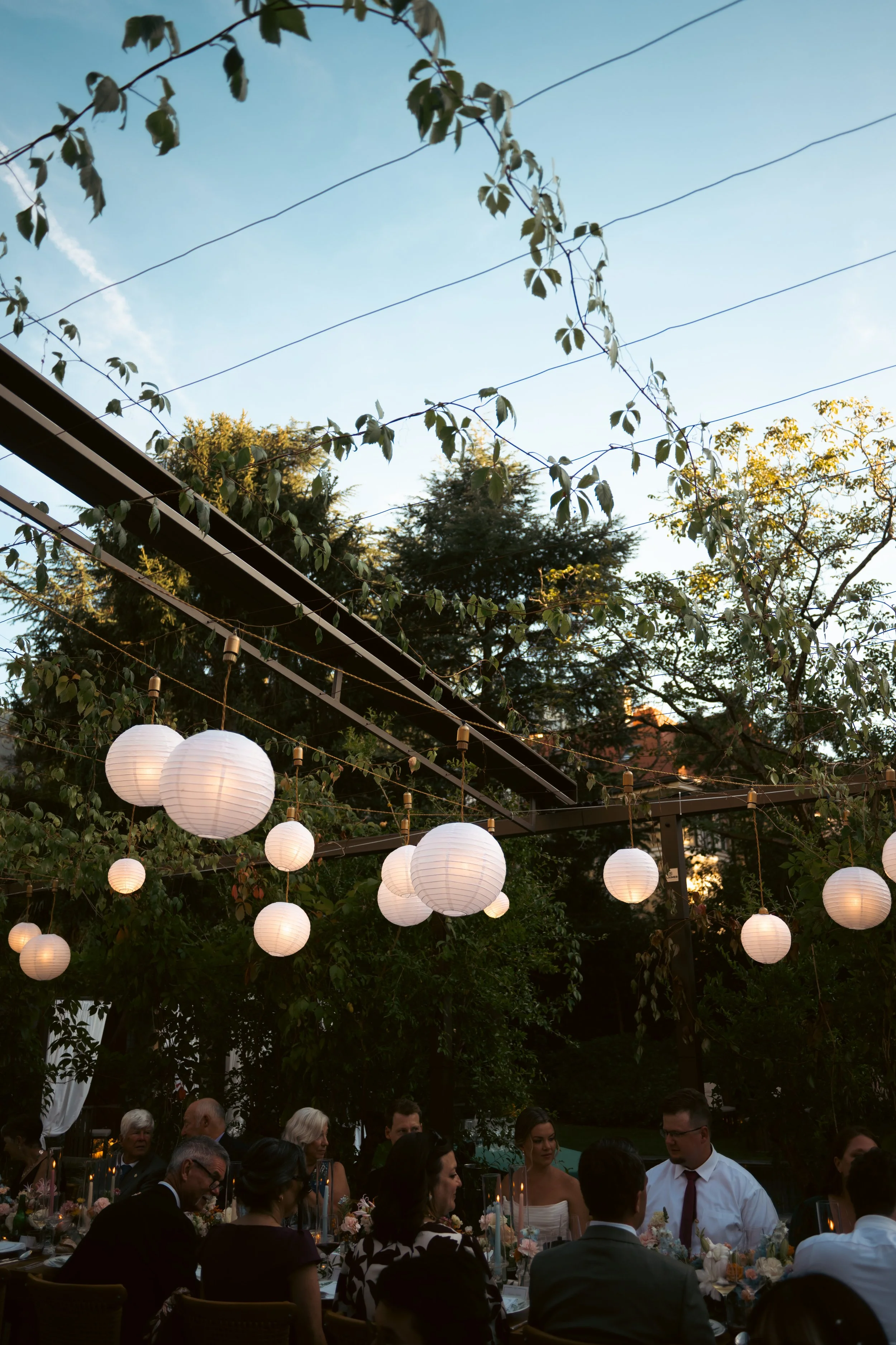 People gathered at an outdoor event under hanging paper lanterns and string lights, with trees and a clear sky in the background.
