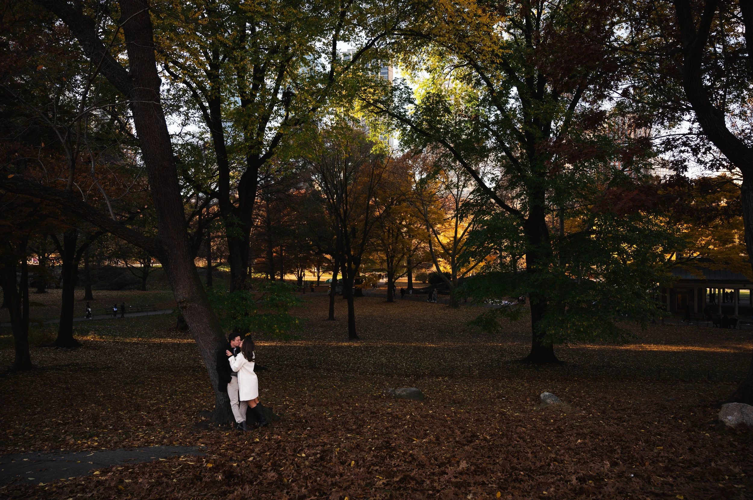 A couple kissing under a tree in a park during autumn, with fallen leaves on the ground and other people in the background.
