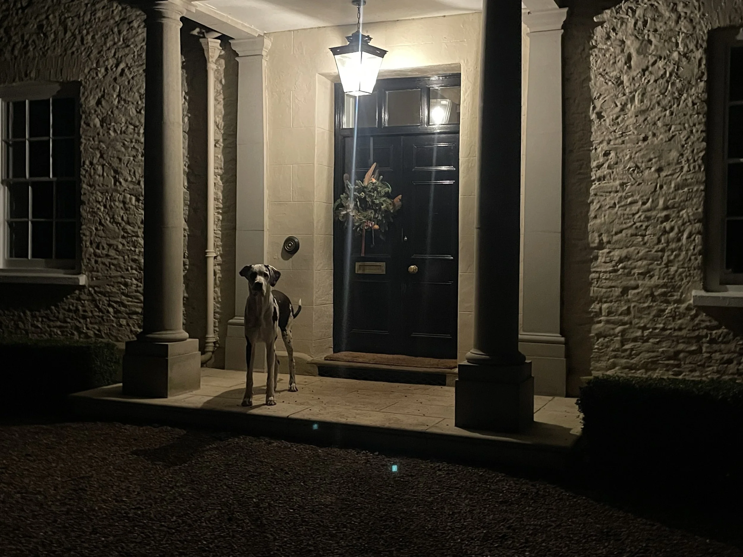 IMG_8089.jpeg