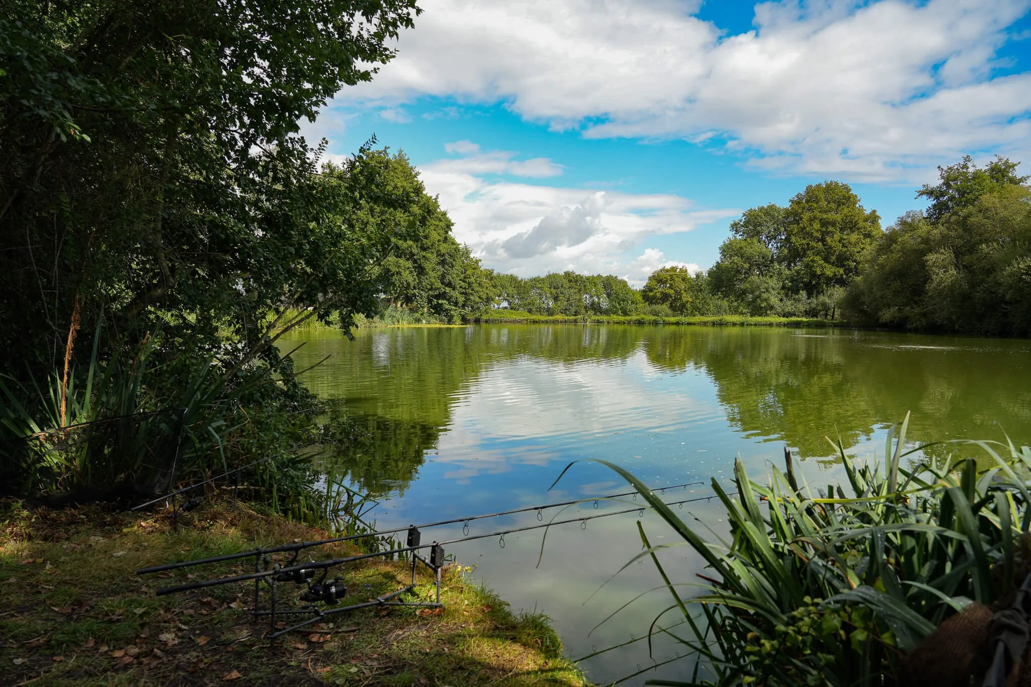 lake8.jpg