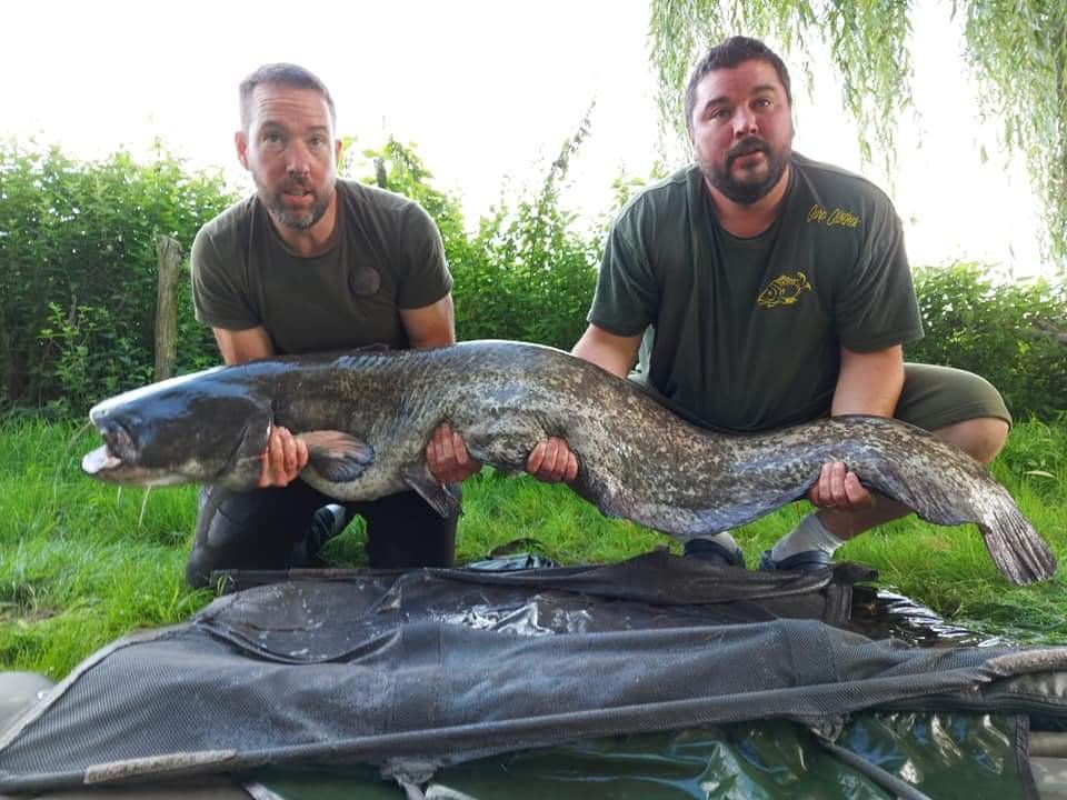 fish3.jpg