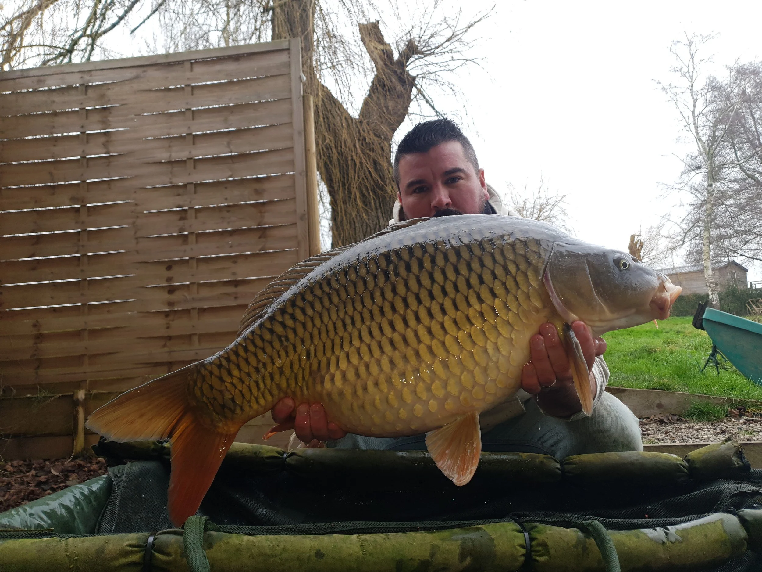 fish9.jpg