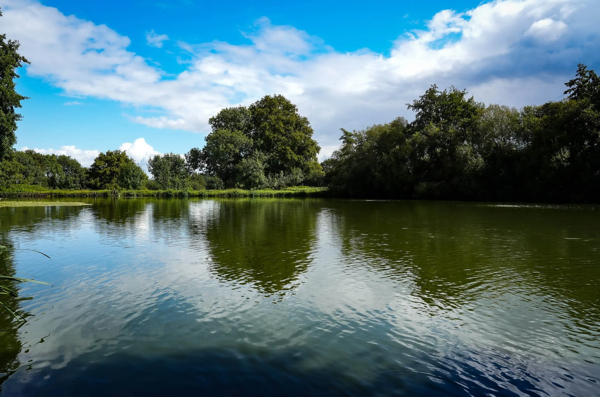 lake7.jpg